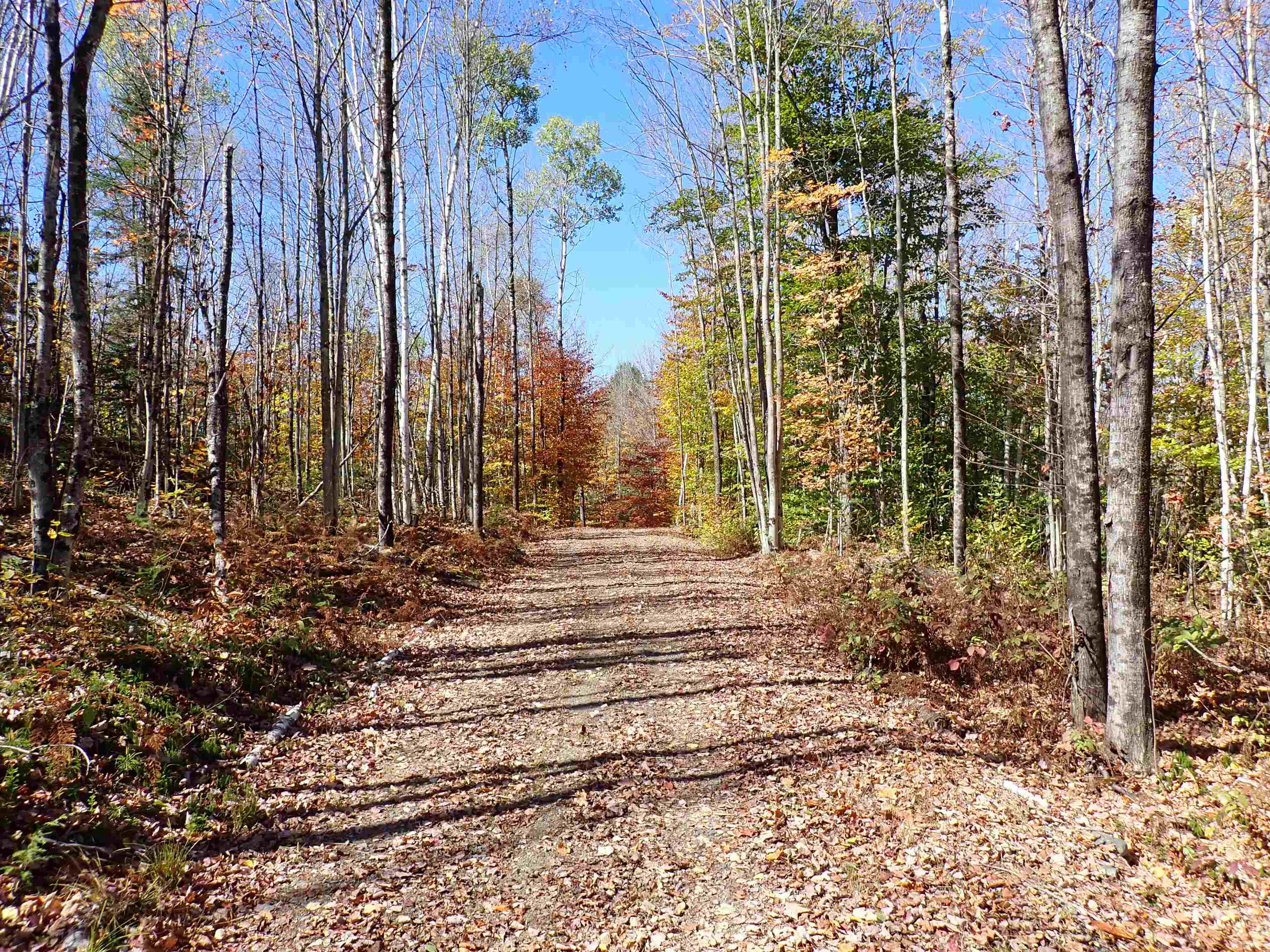 main property photo 20