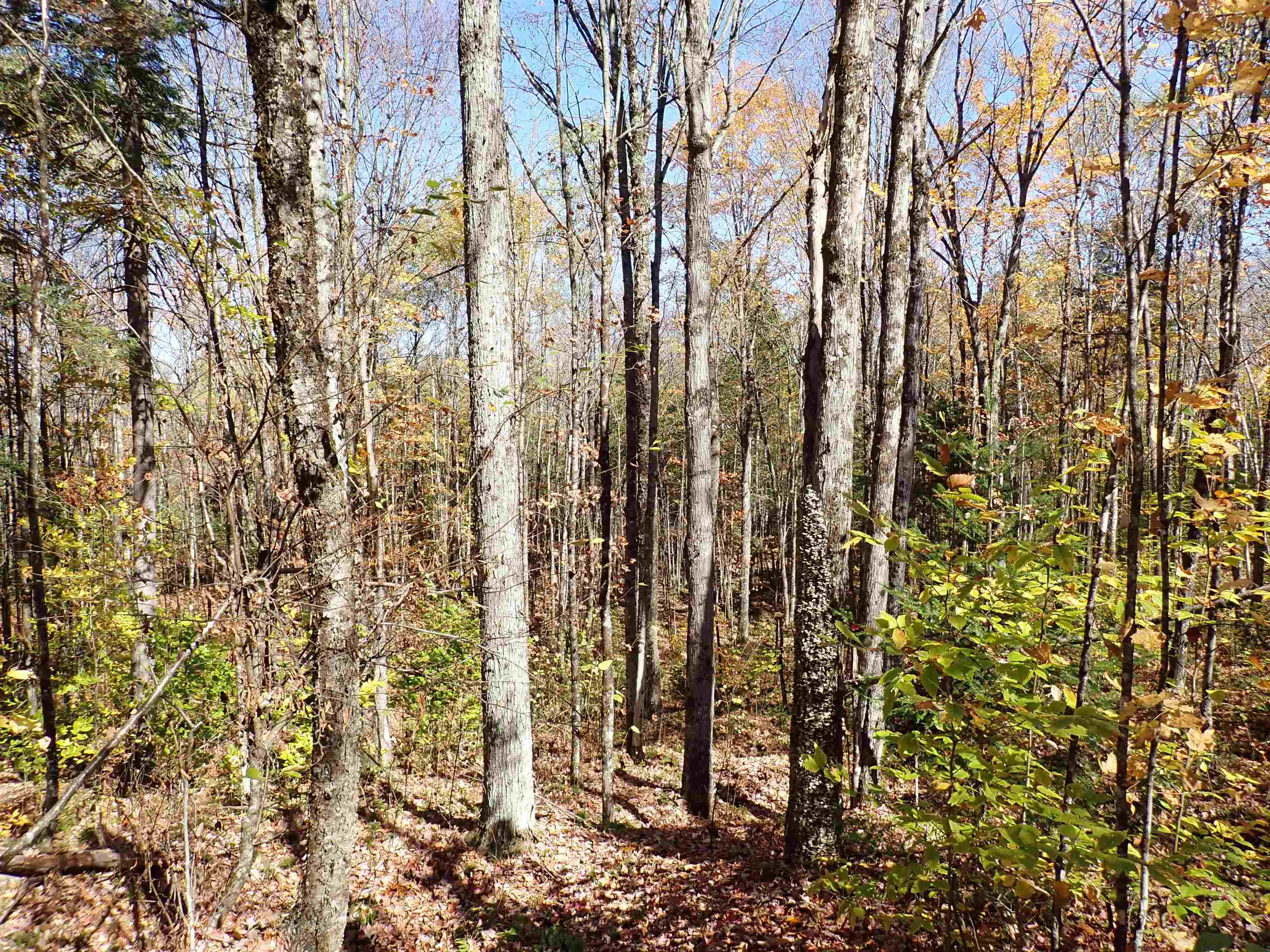 main property photo 22