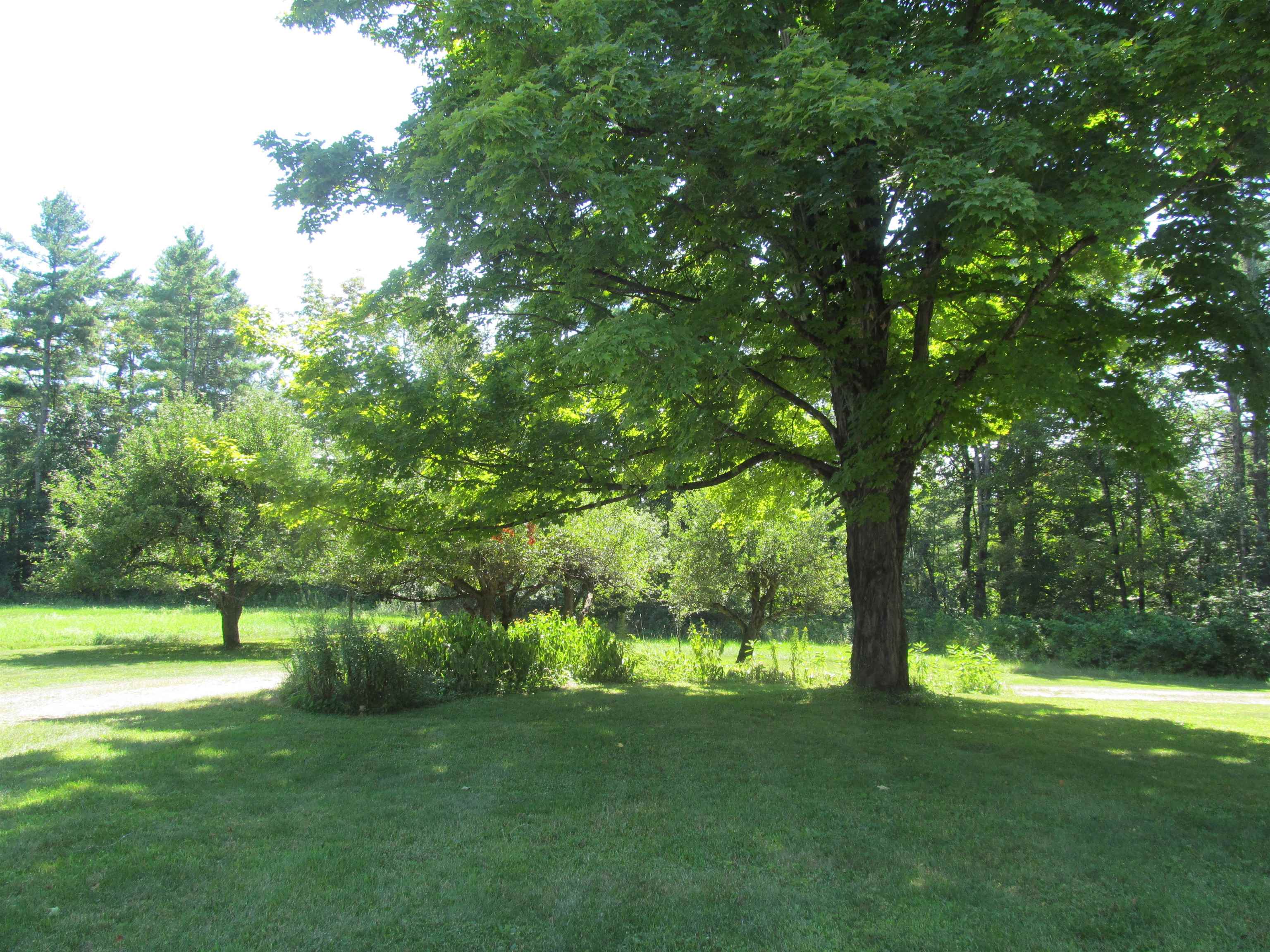 main property photo 56