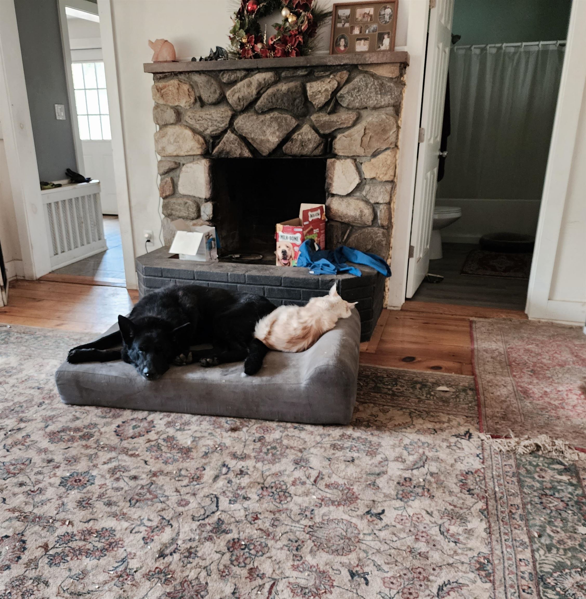 main property photo 31