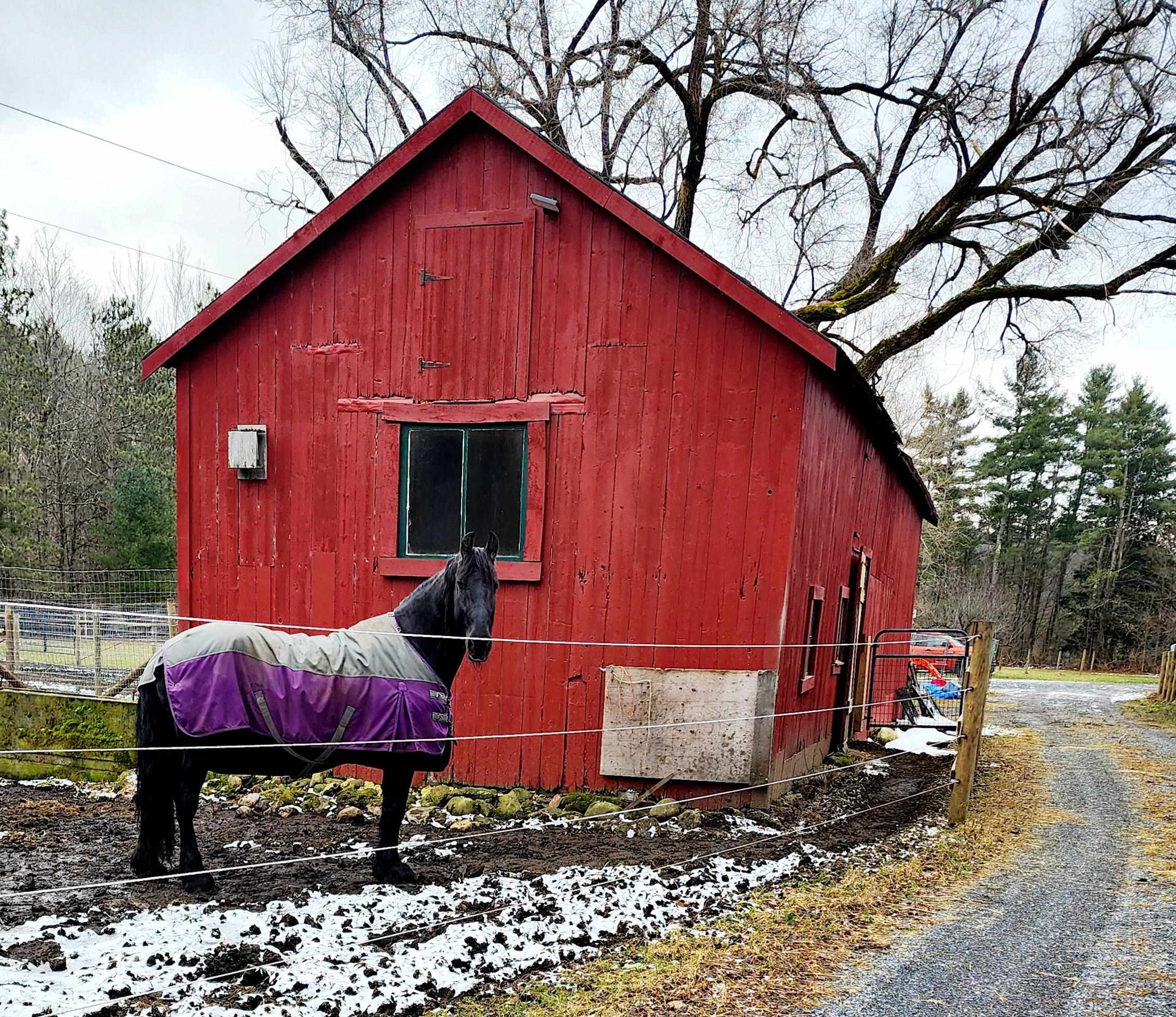 main property photo 53