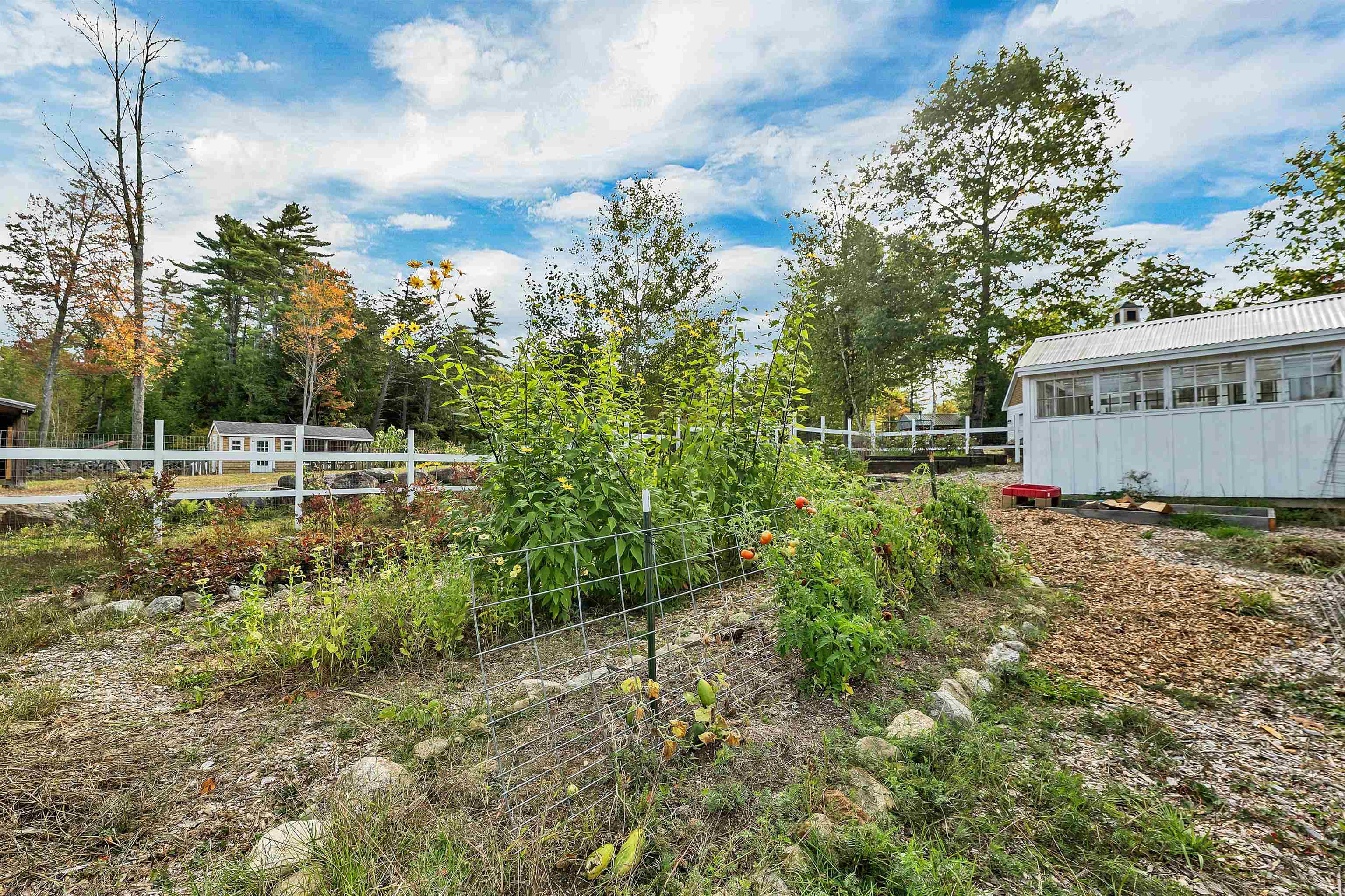 property viewer photo 19