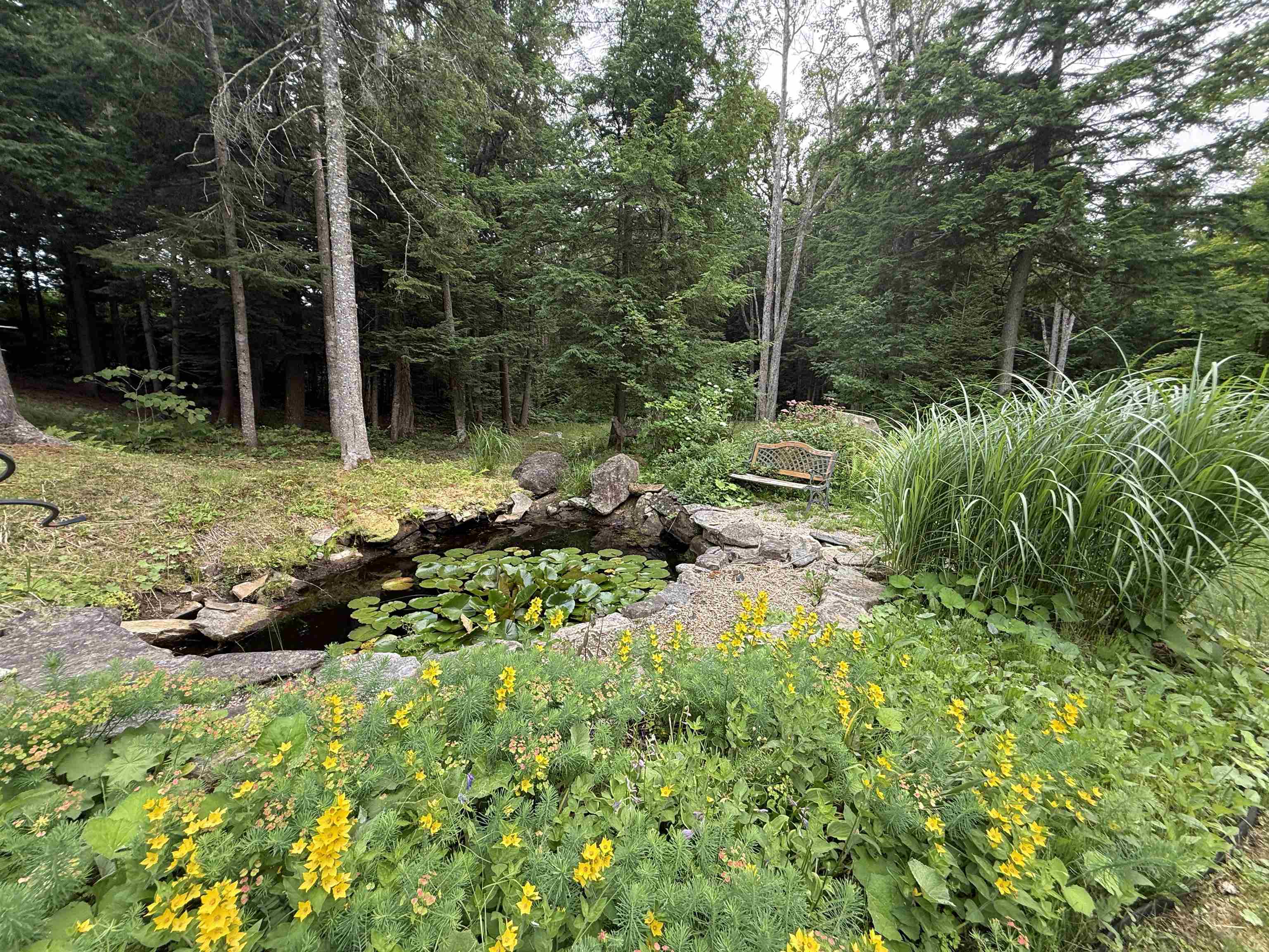 main property photo 48