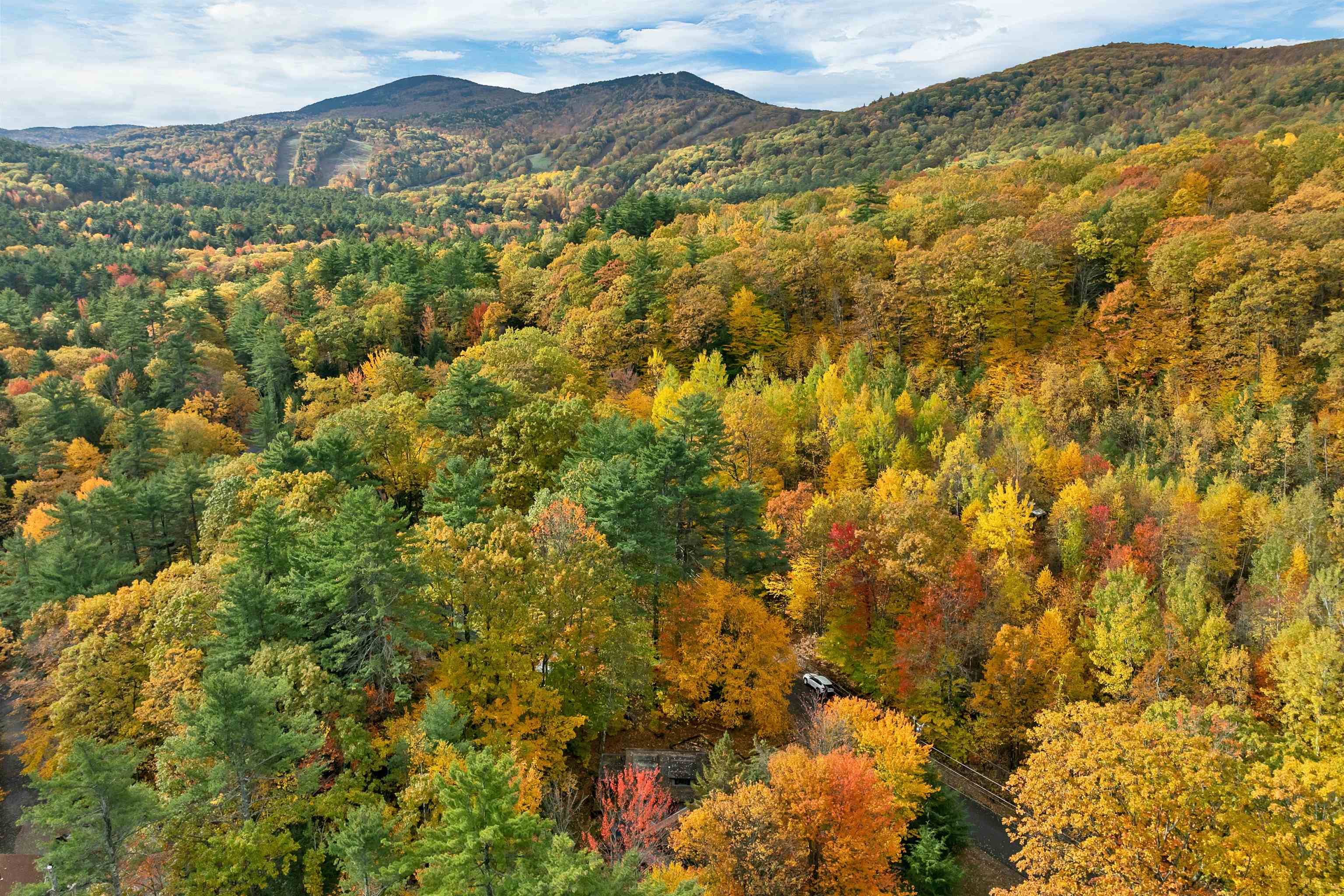 property viewer photo 50