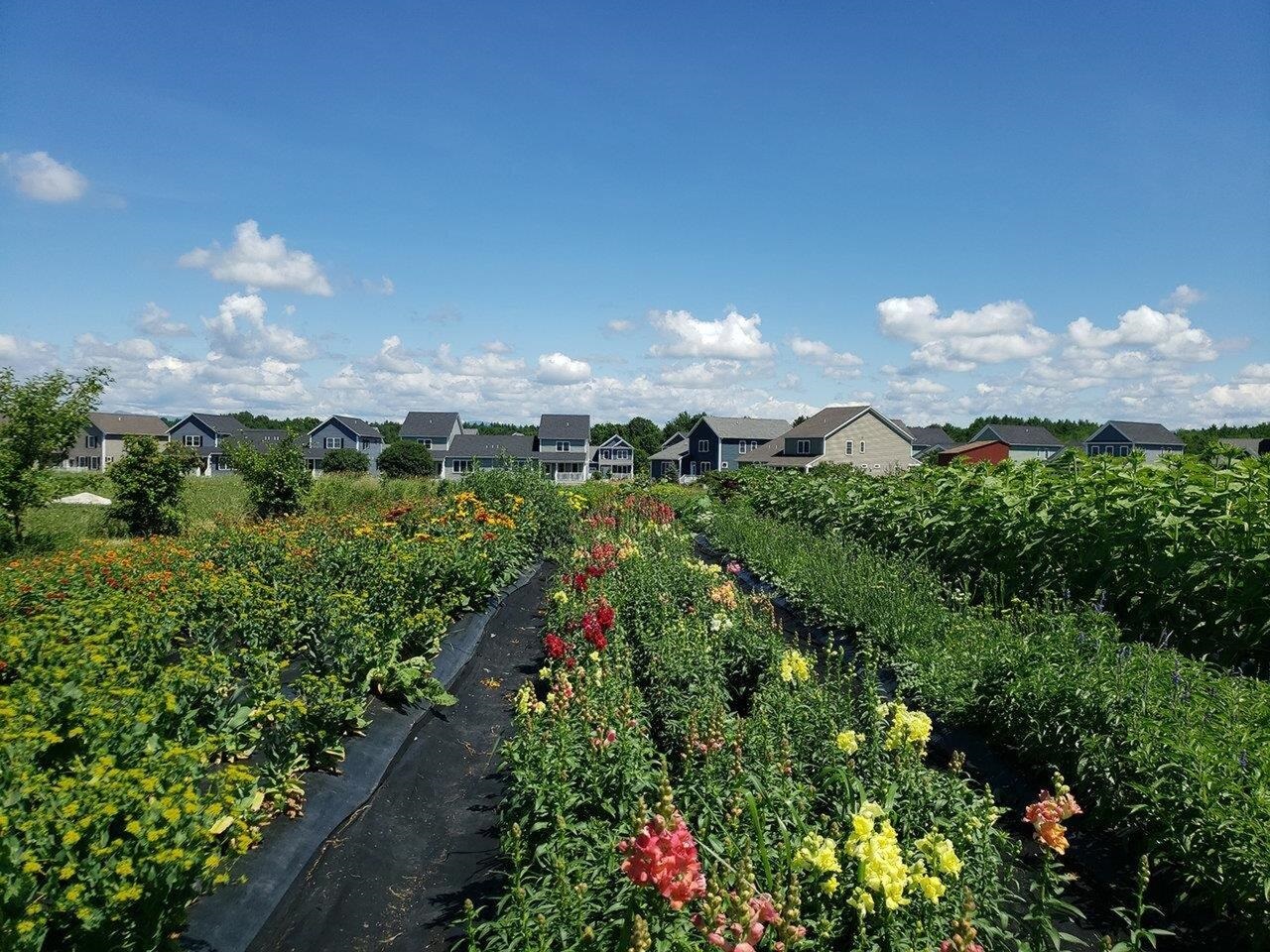 main property photo 43