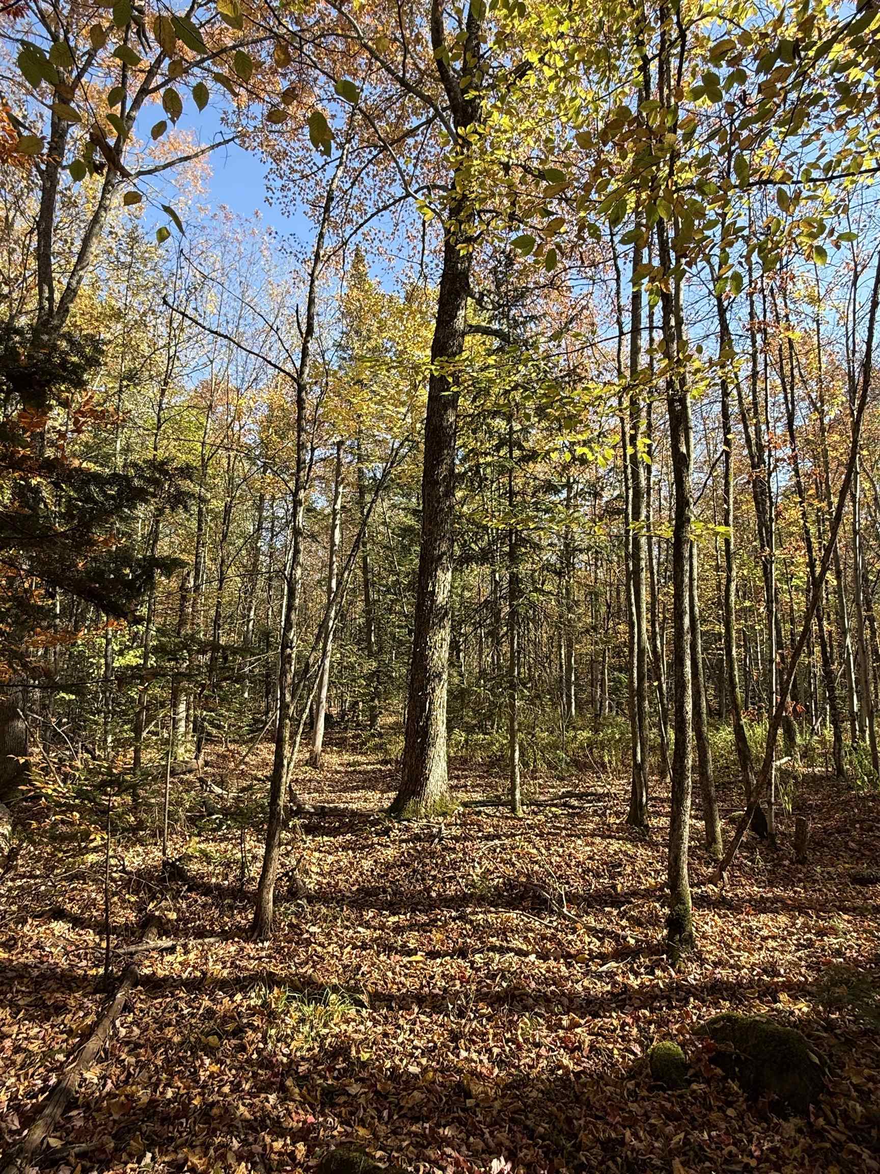 main property photo 28