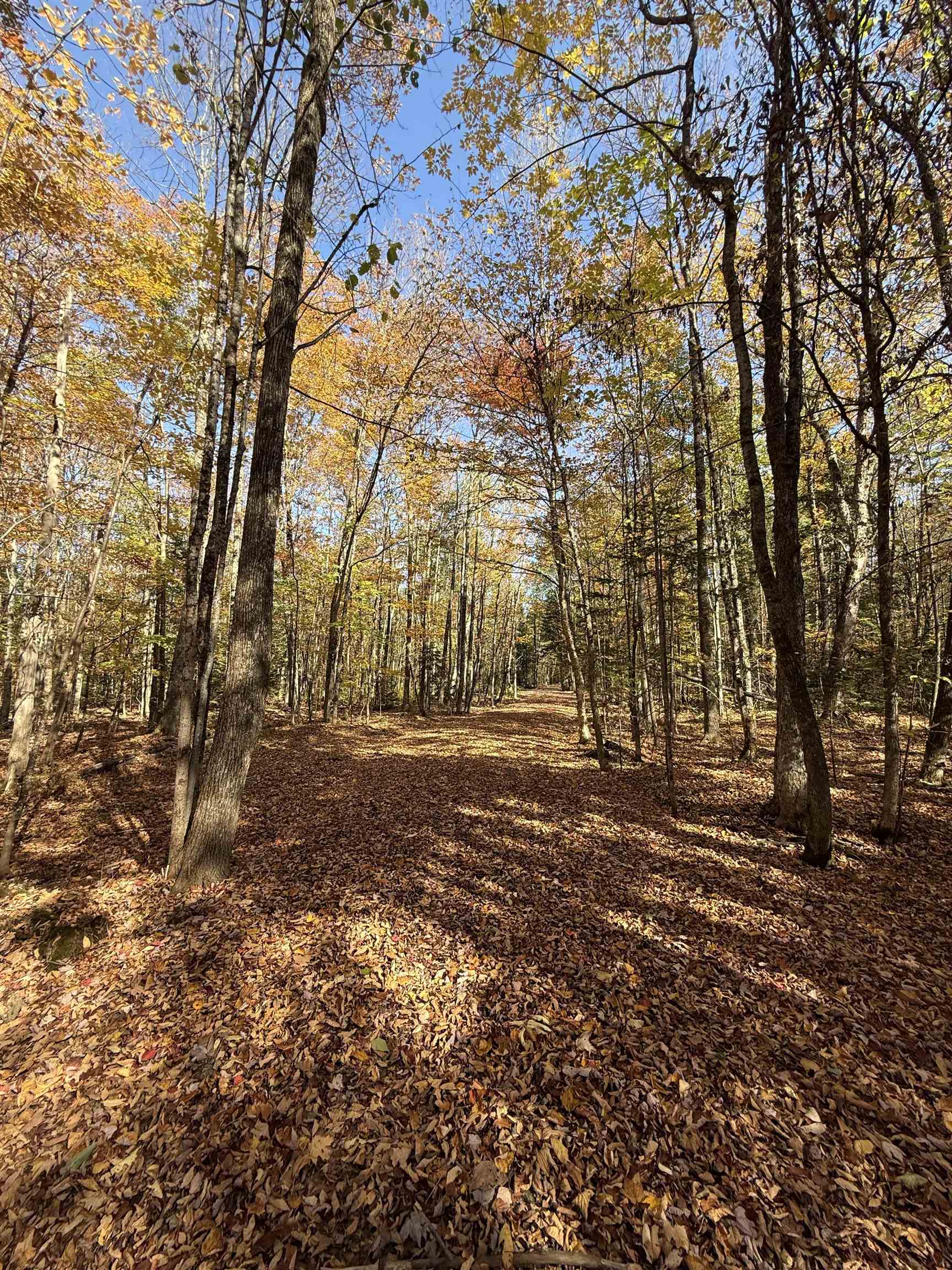main property photo 29