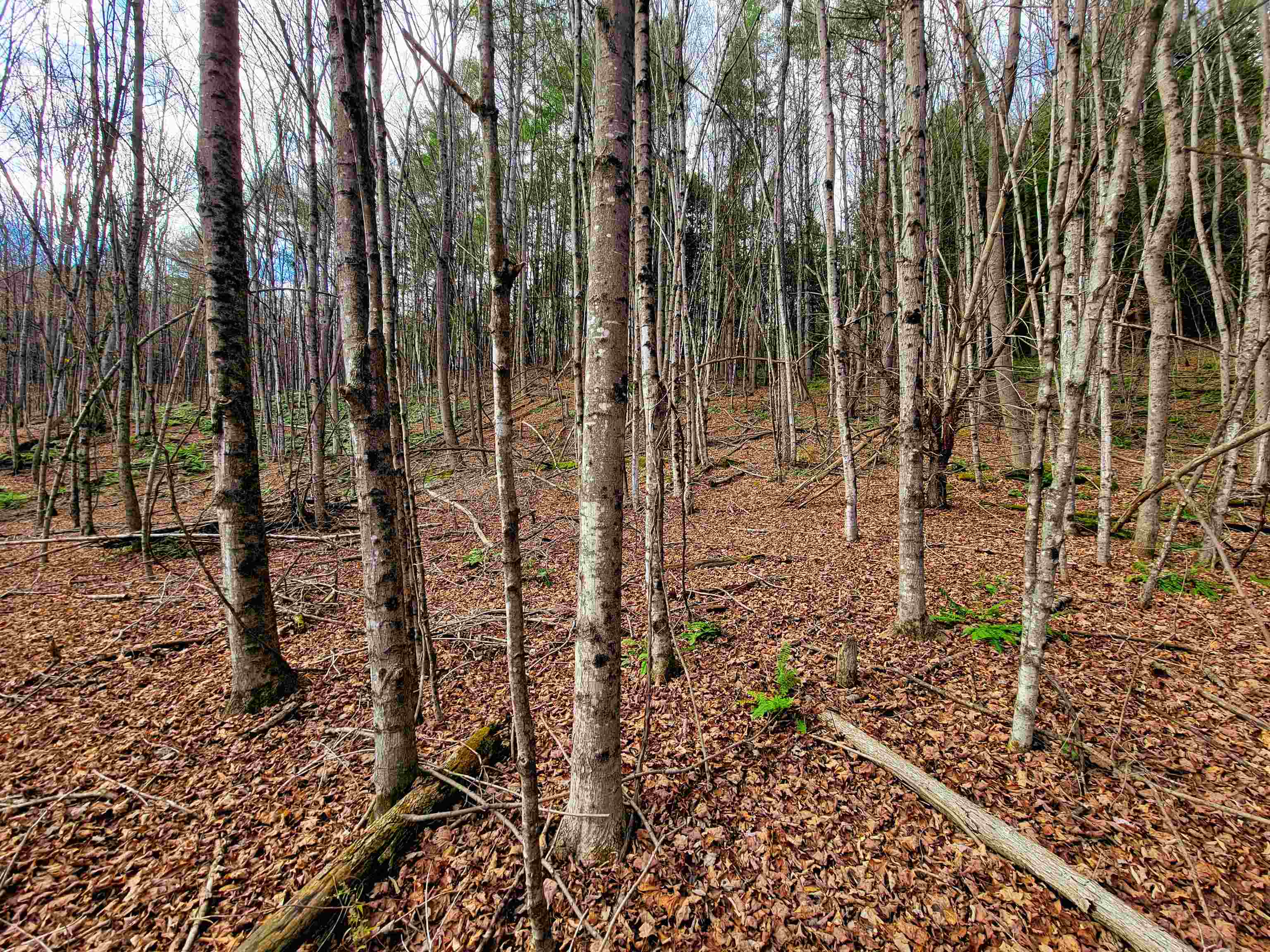 main property photo 32