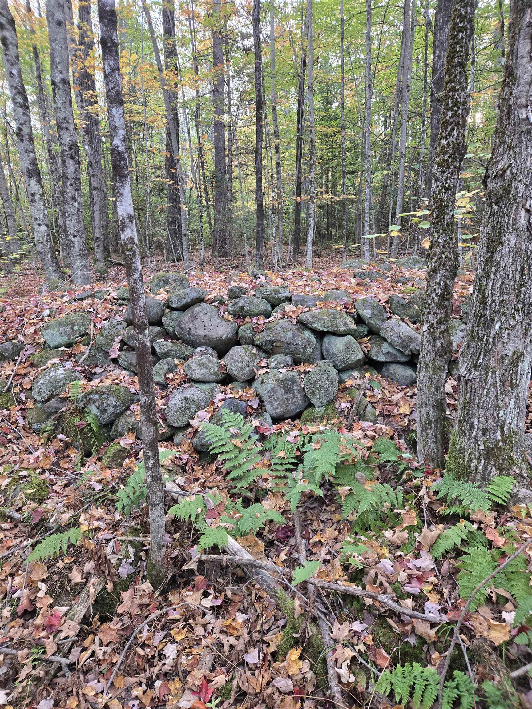 property viewer photo 1