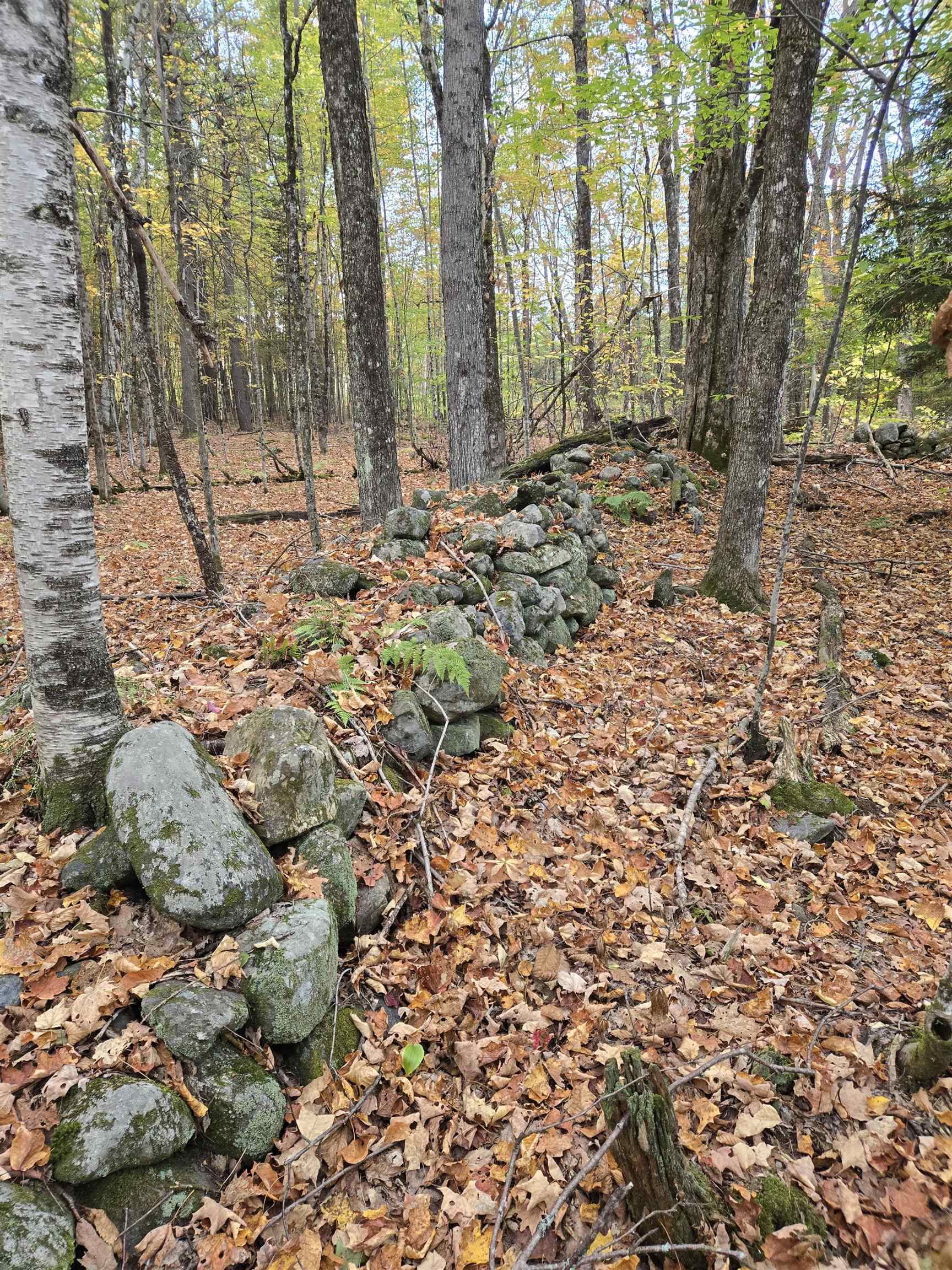 property viewer photo 2