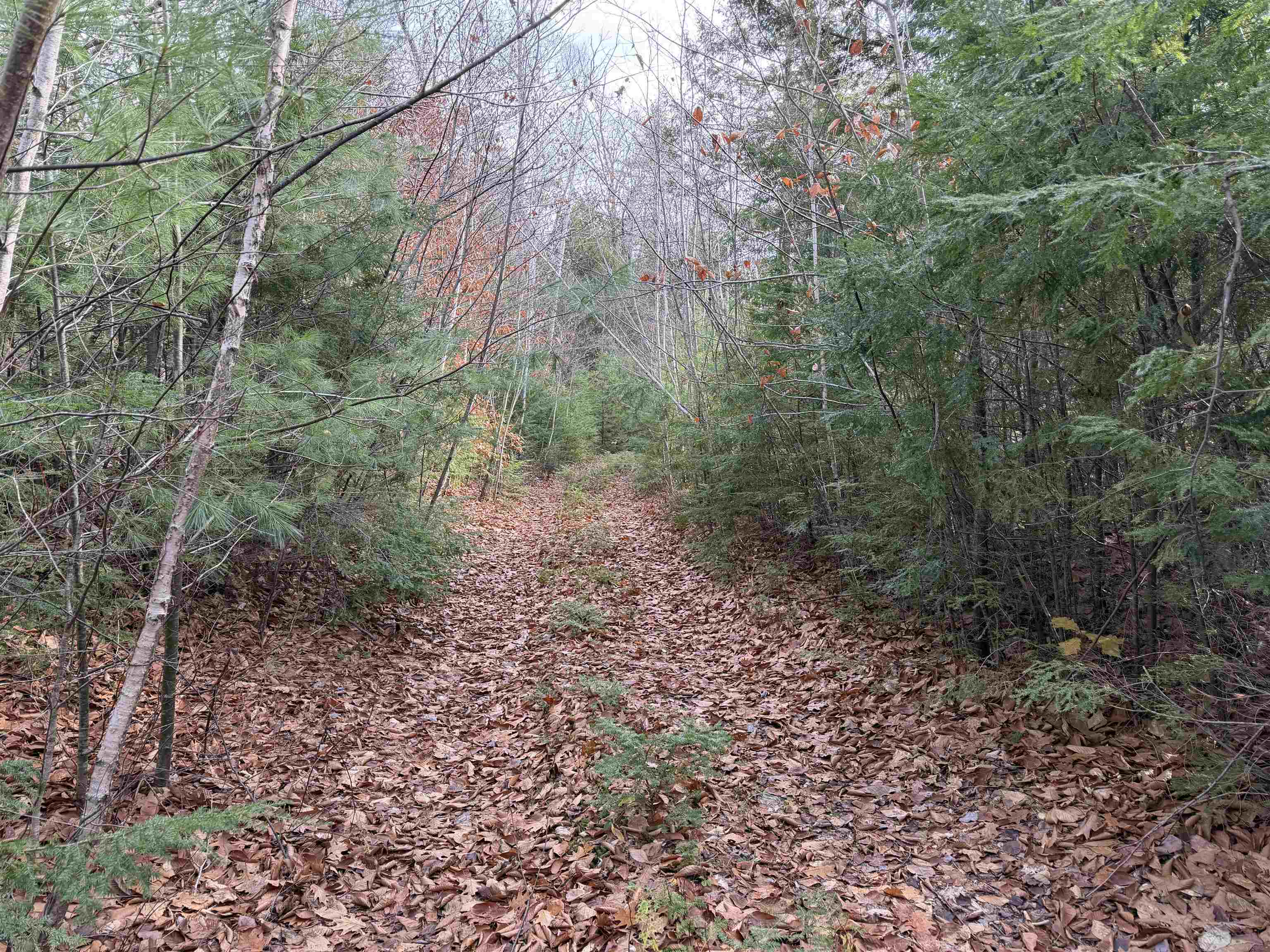 property viewer photo 2