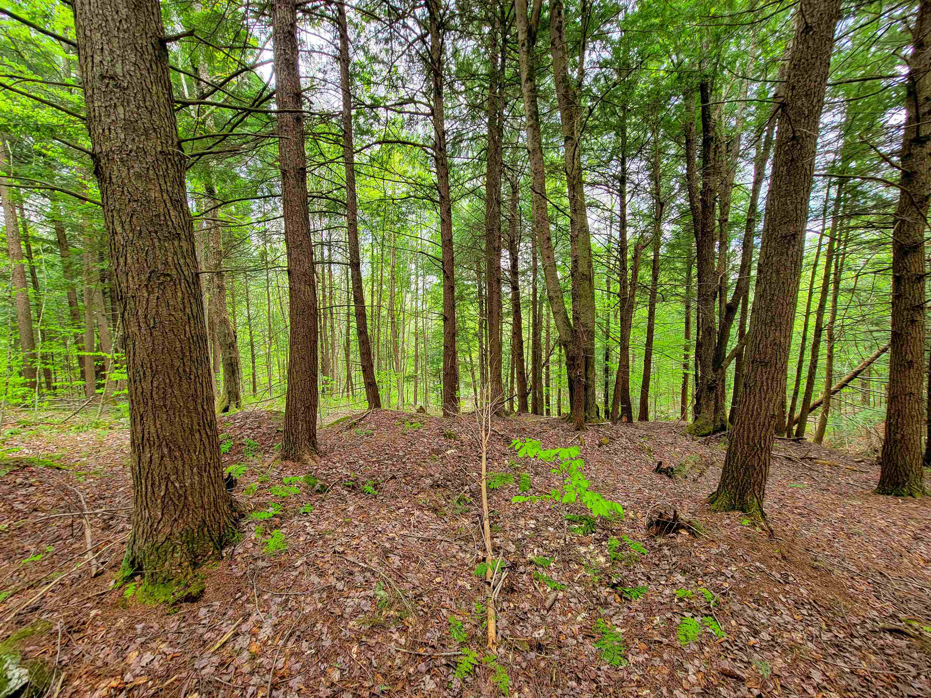 main property photo 48