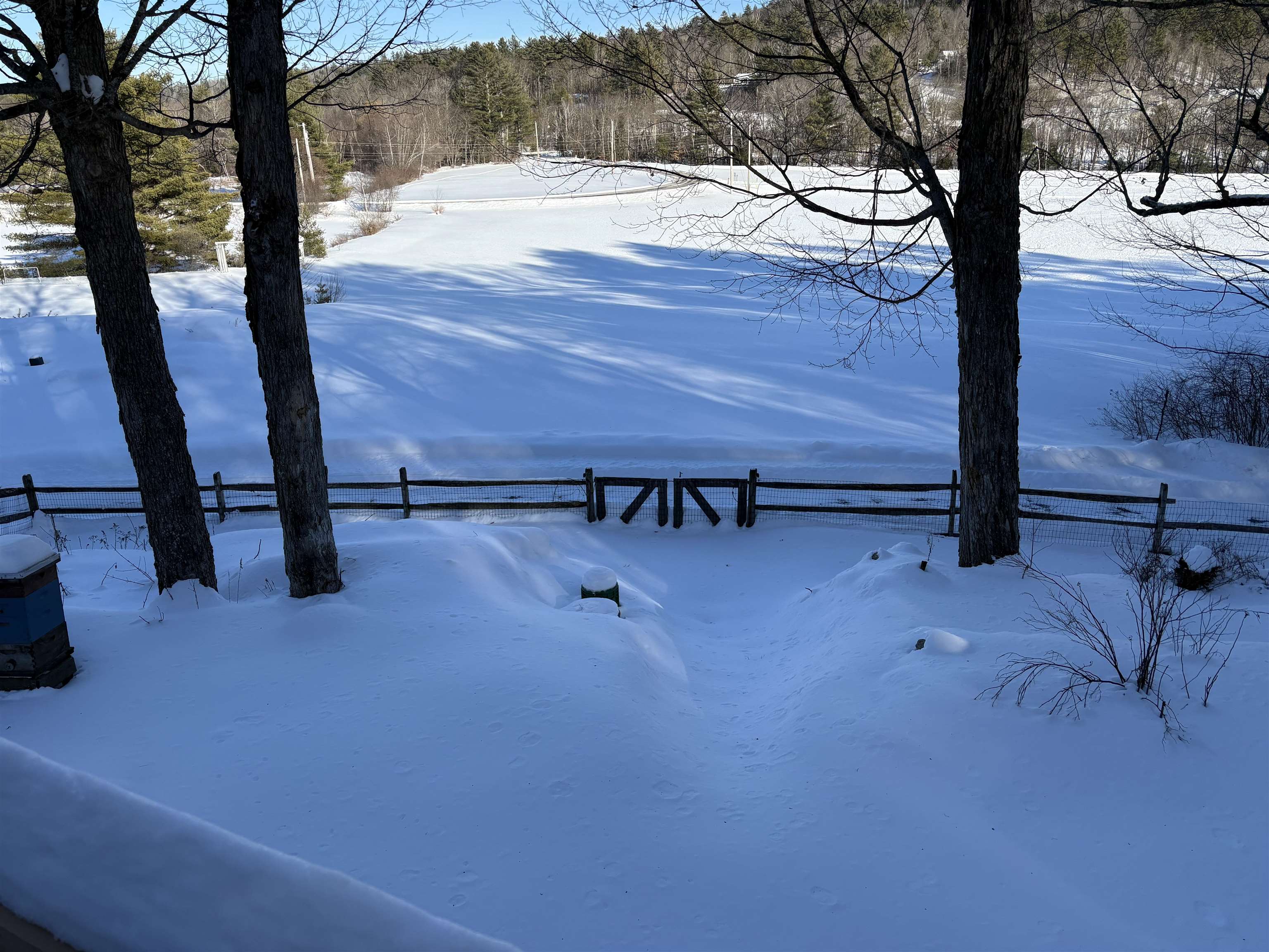main property photo 55