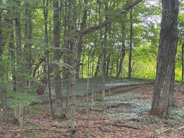 main property photo 49