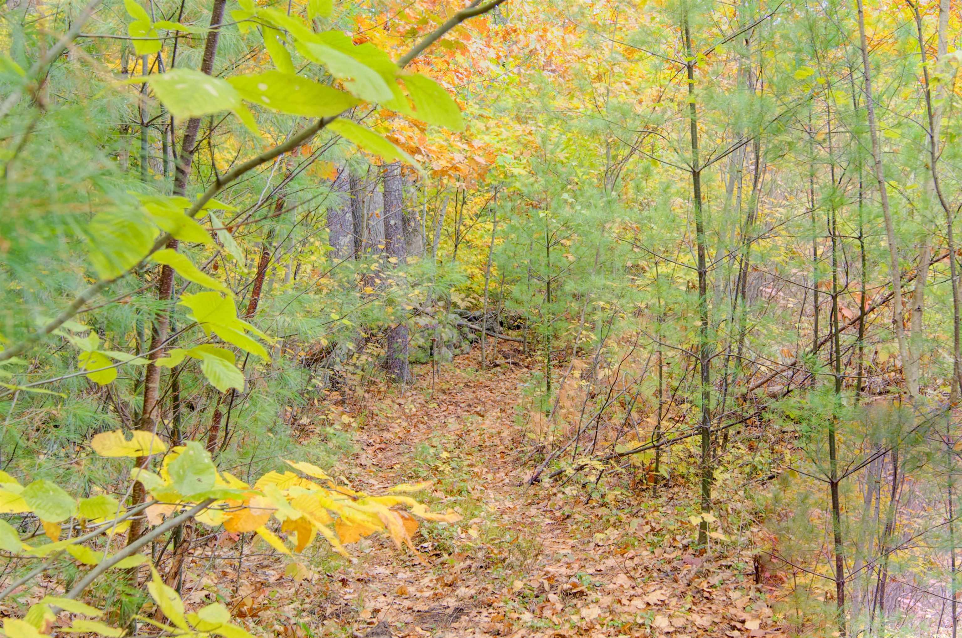 property viewer photo 39