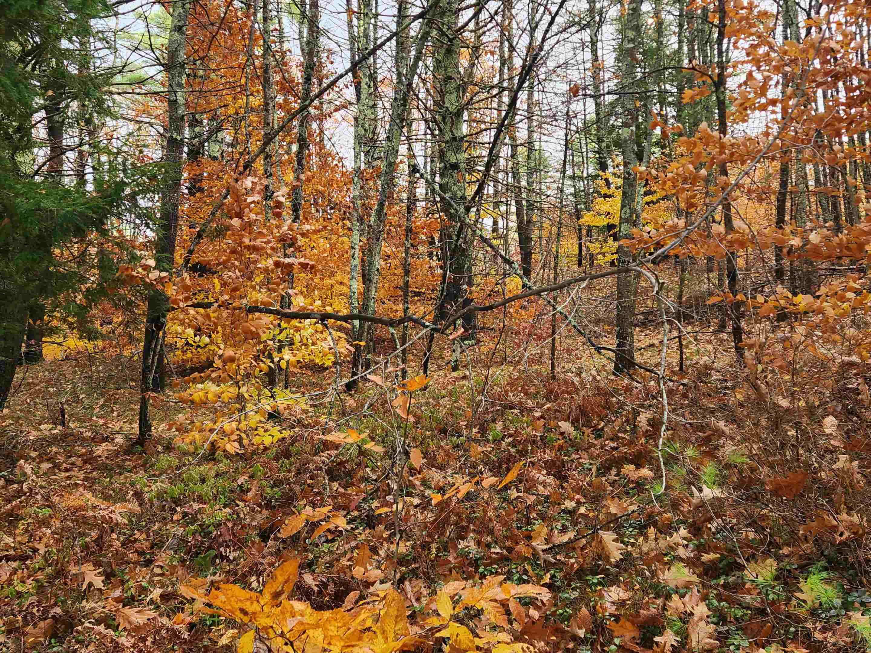 main property photo 17