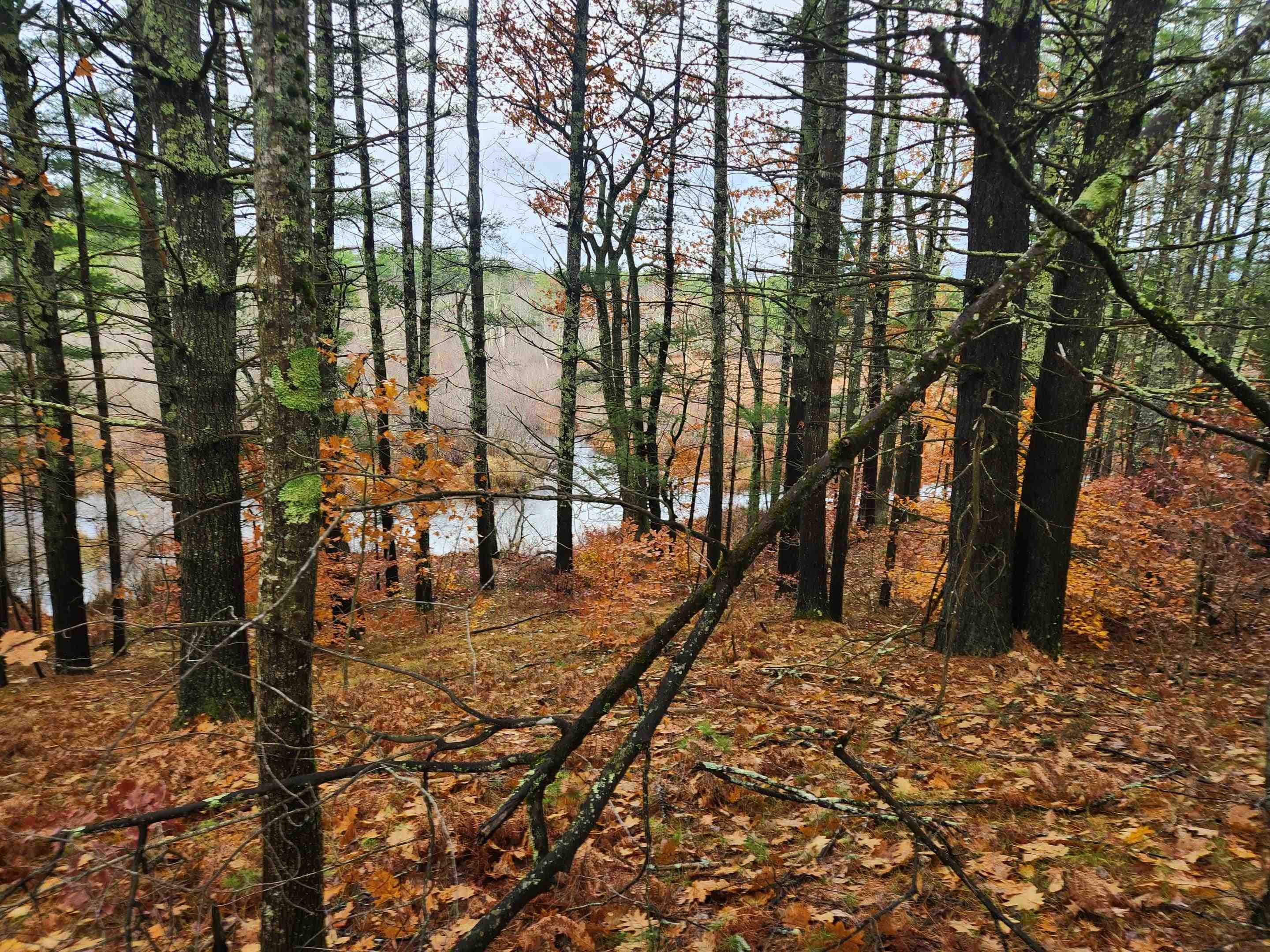 main property photo 35