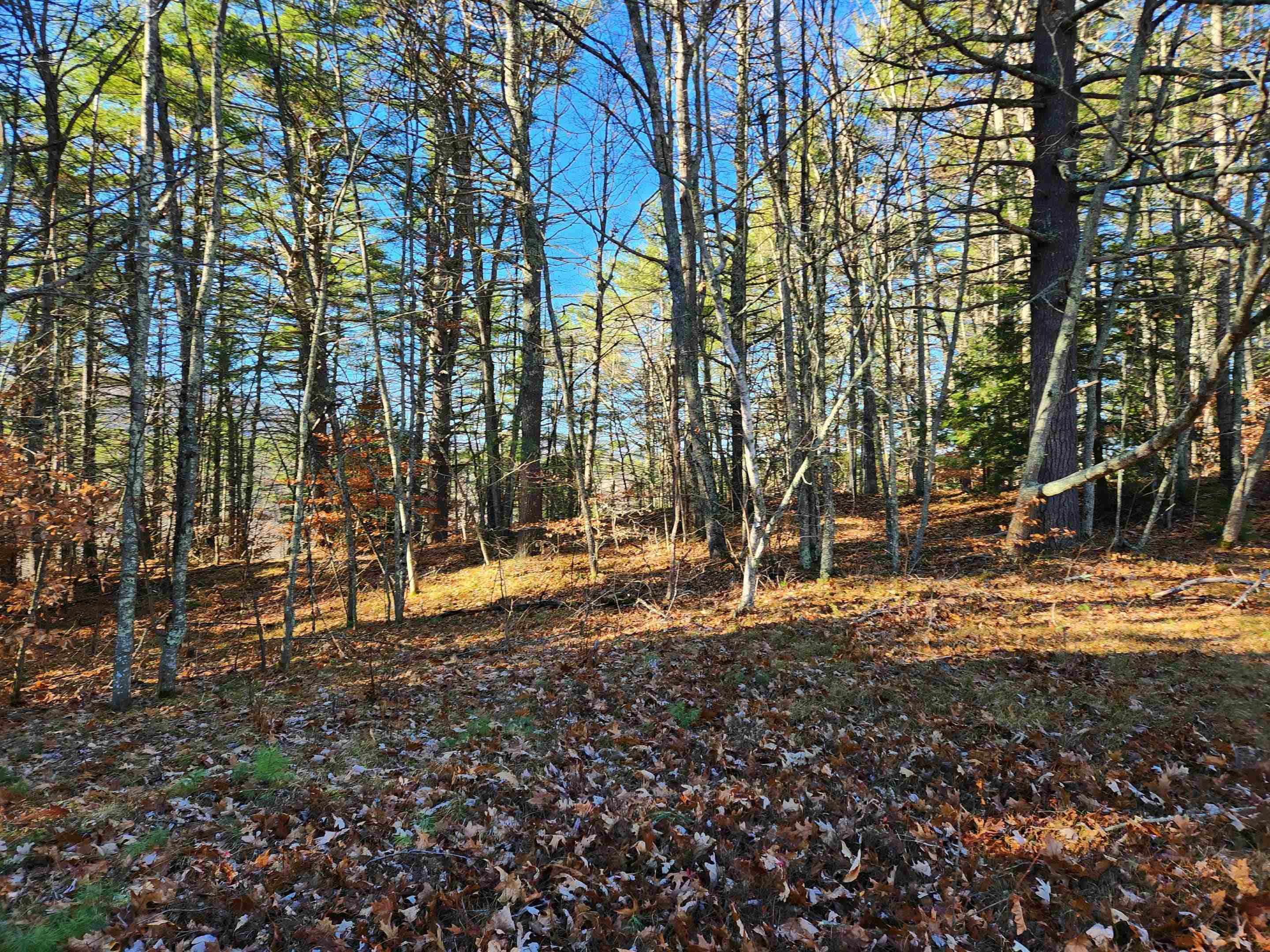 main property photo 36