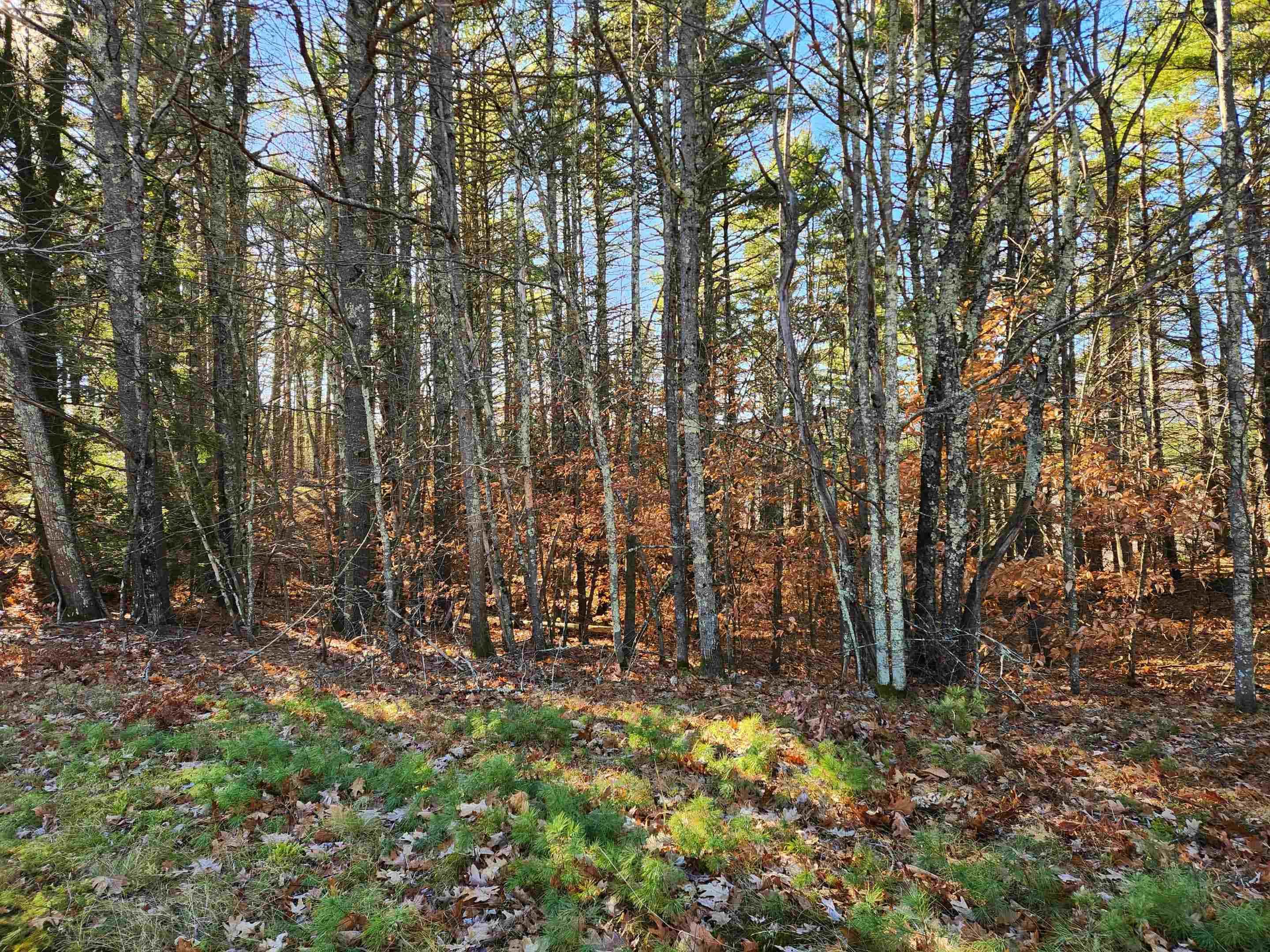 main property photo 39