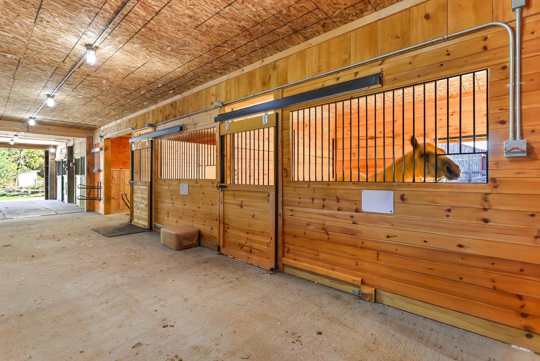 main property photo 45