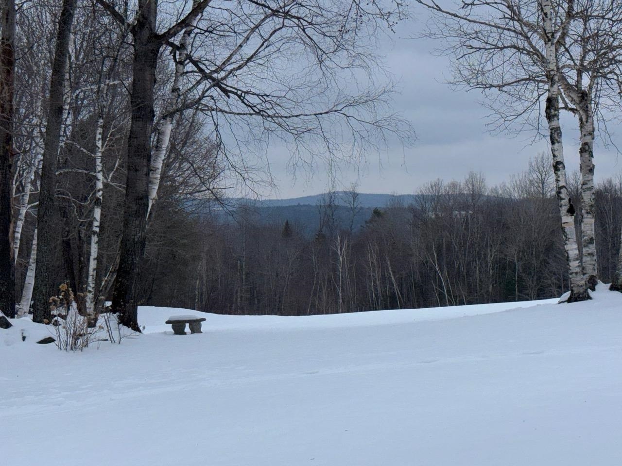 main property photo 53