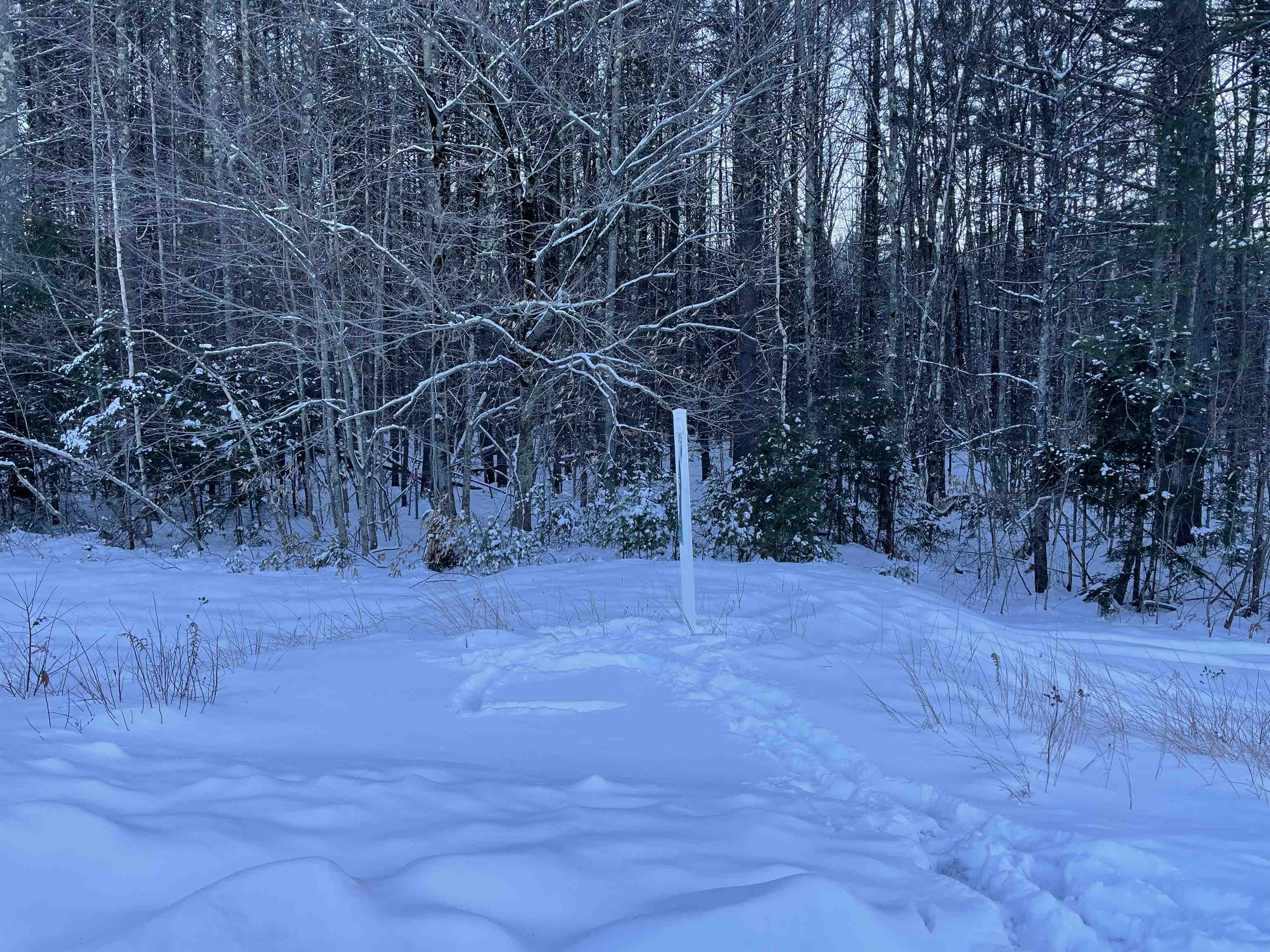 property viewer photo 1