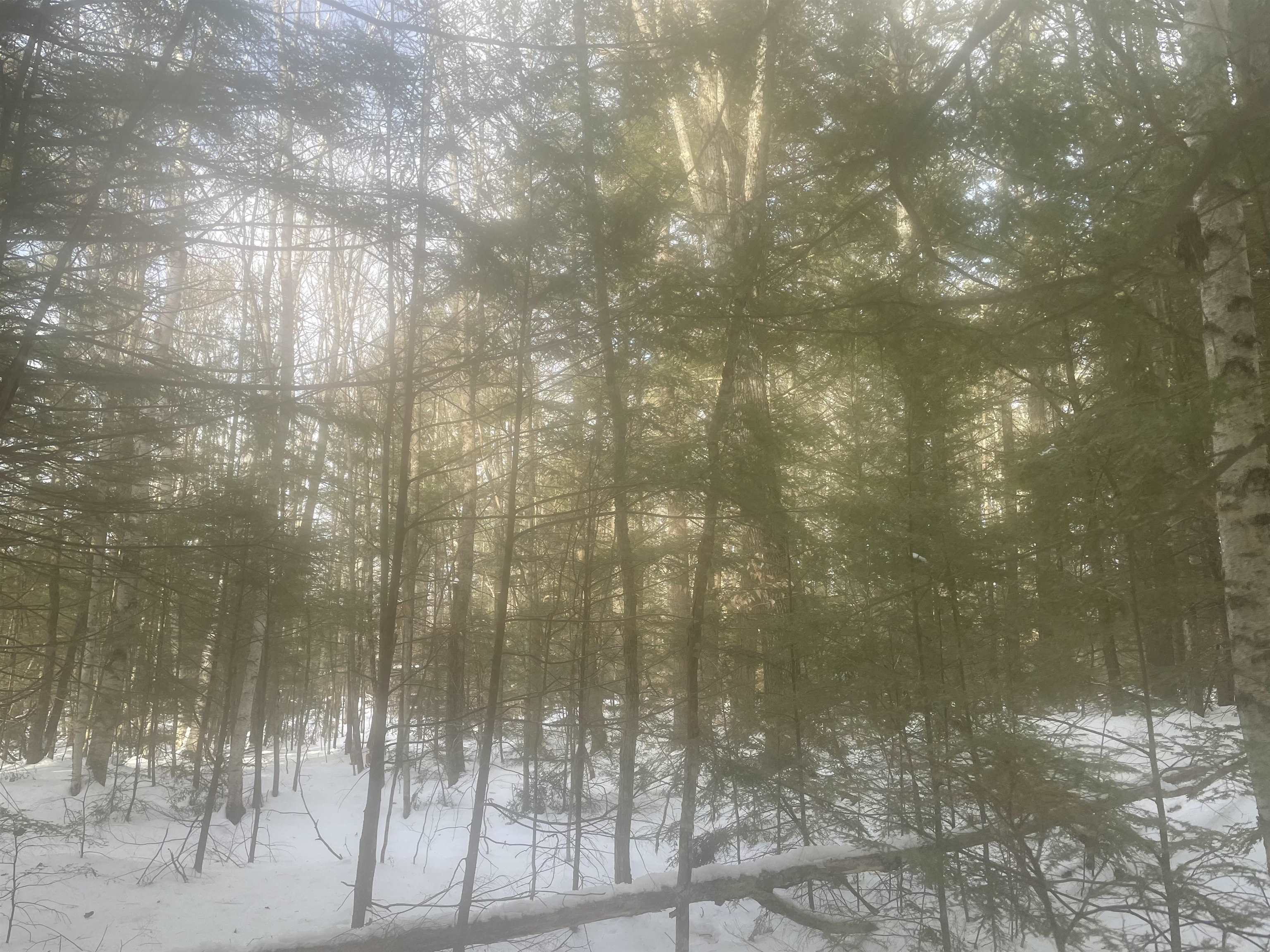 property viewer photo 10
