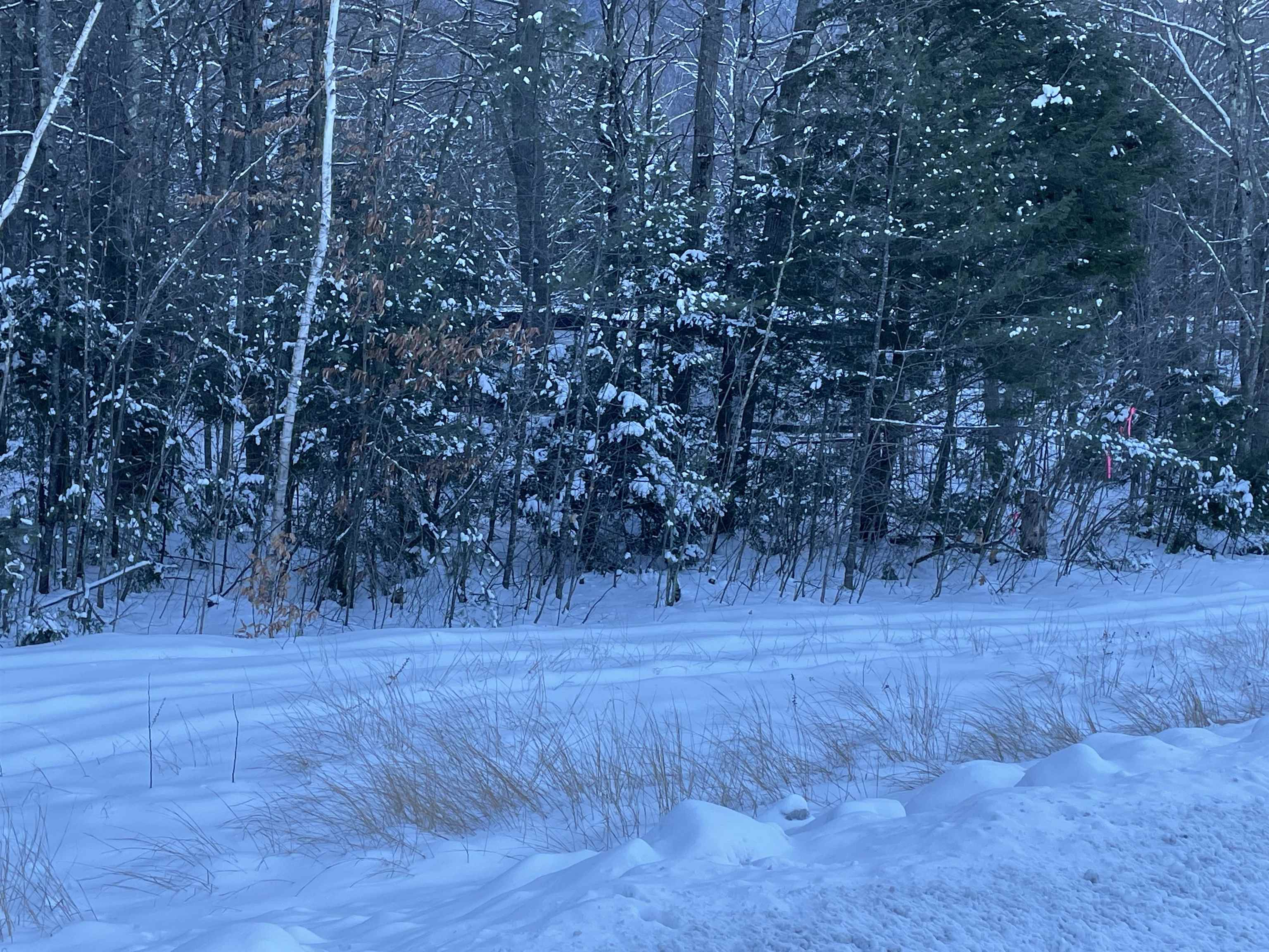 property viewer photo 42