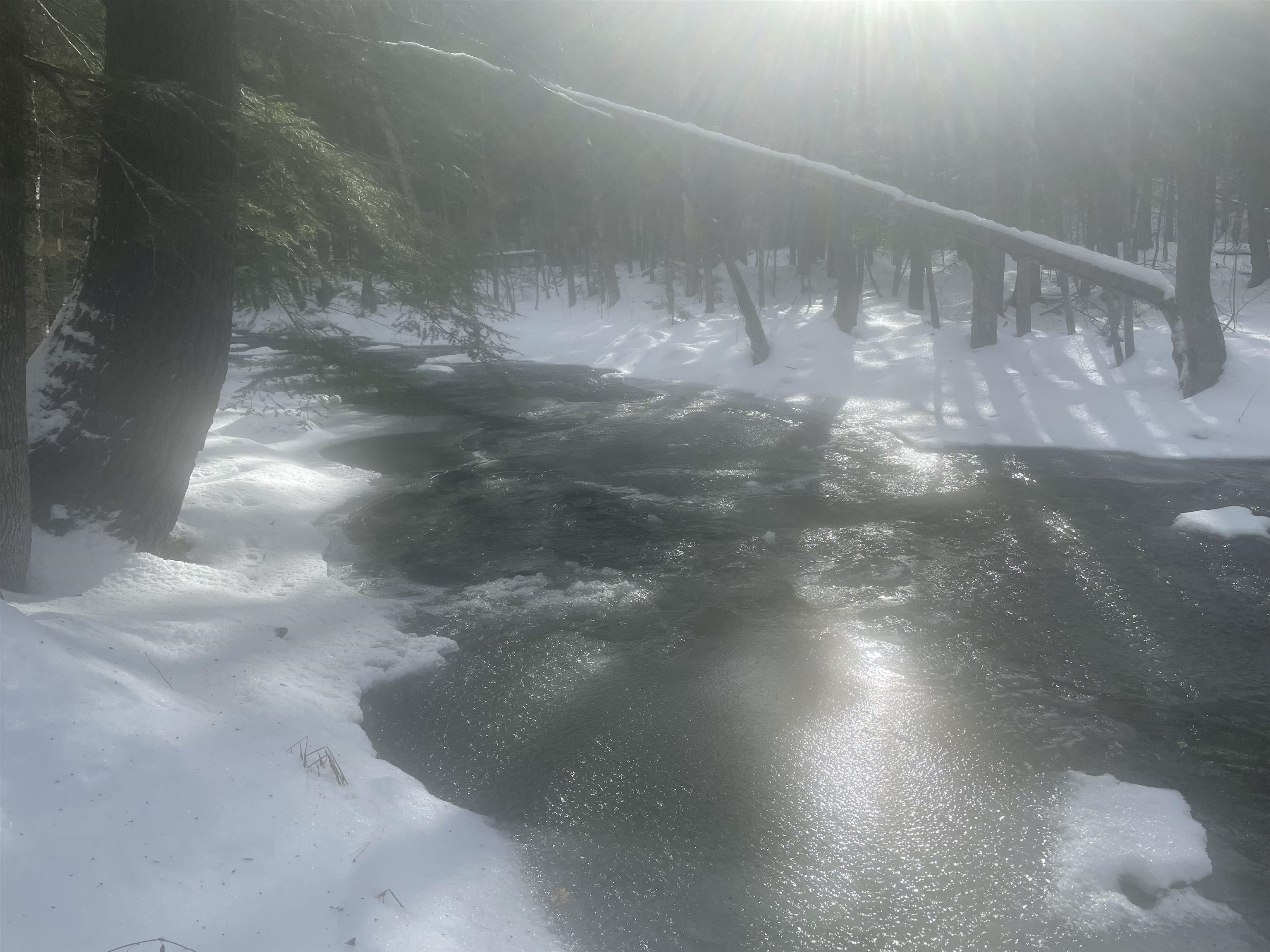 property viewer photo 47