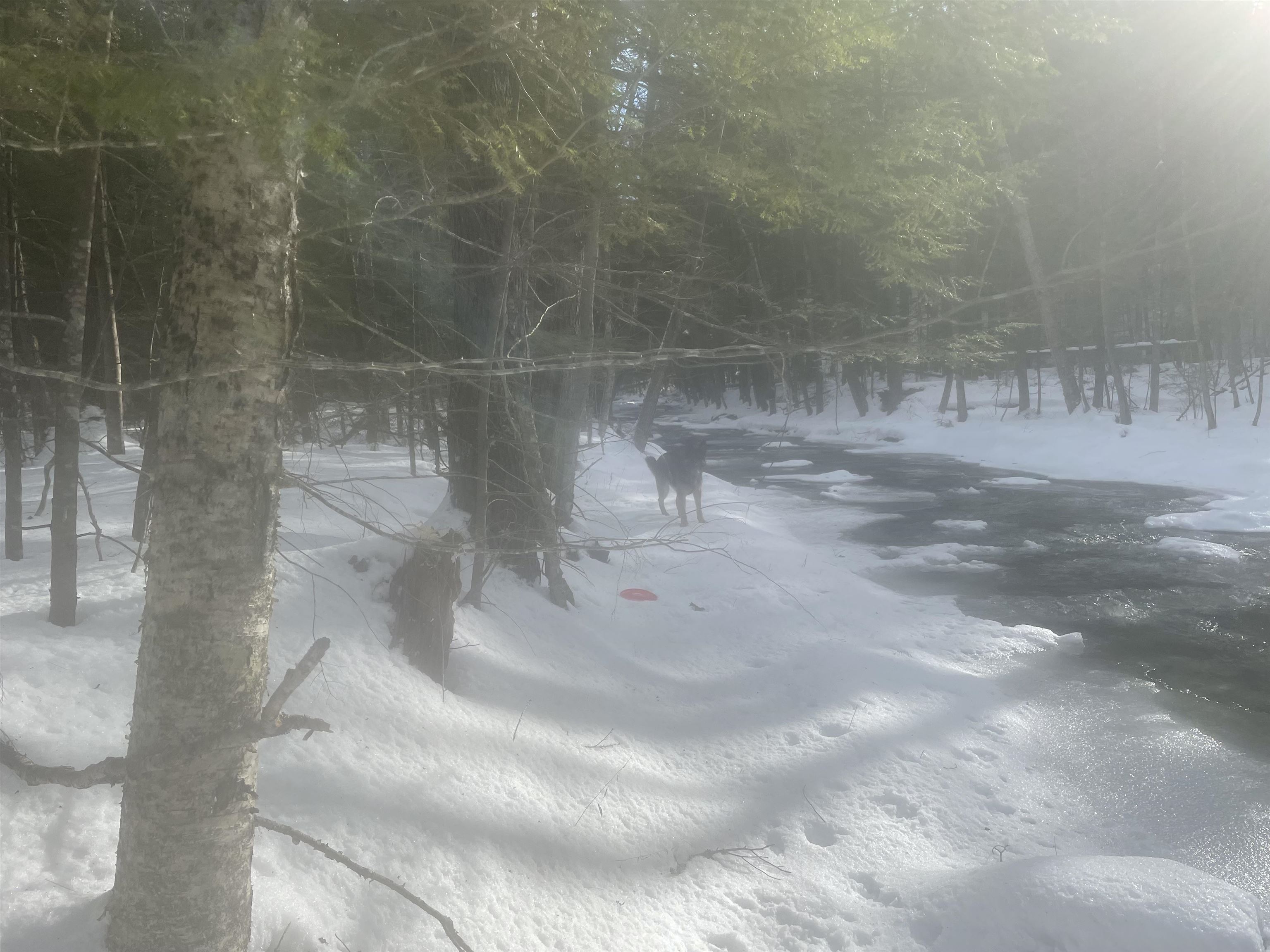 property viewer photo 49