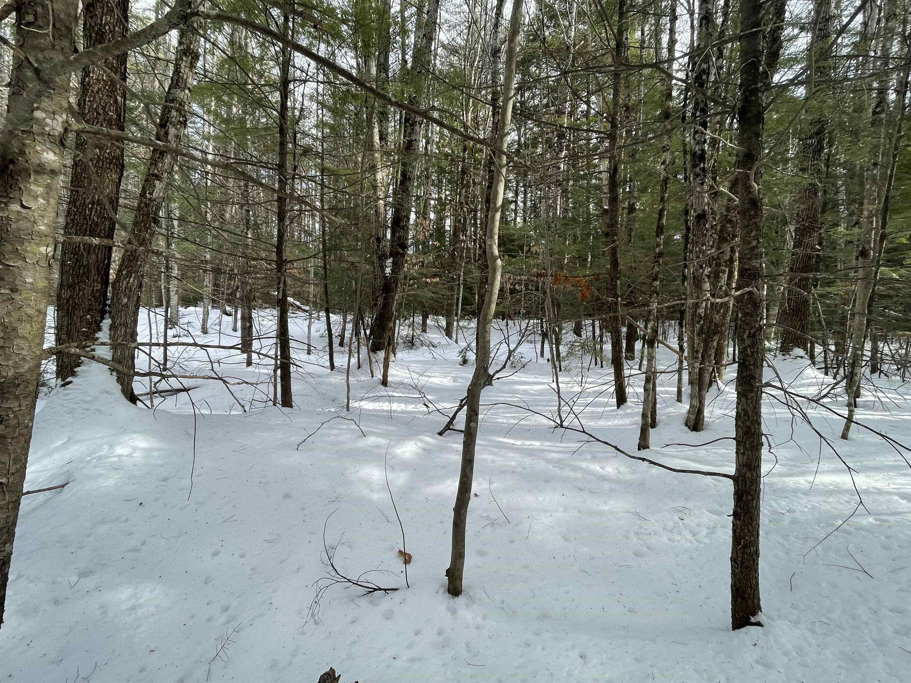 property viewer photo 50