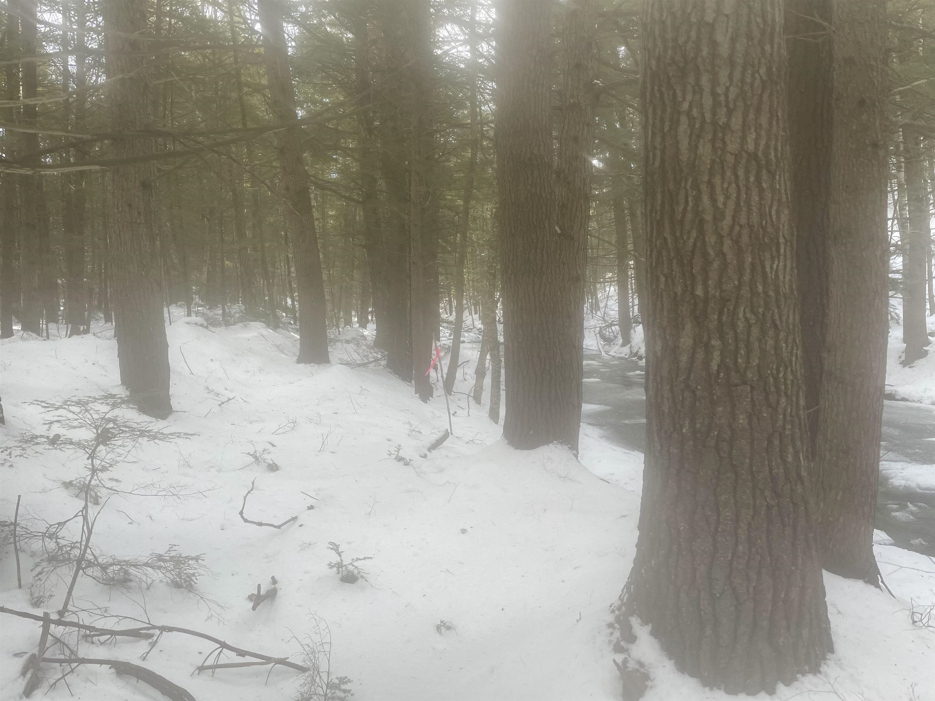 property viewer photo 51