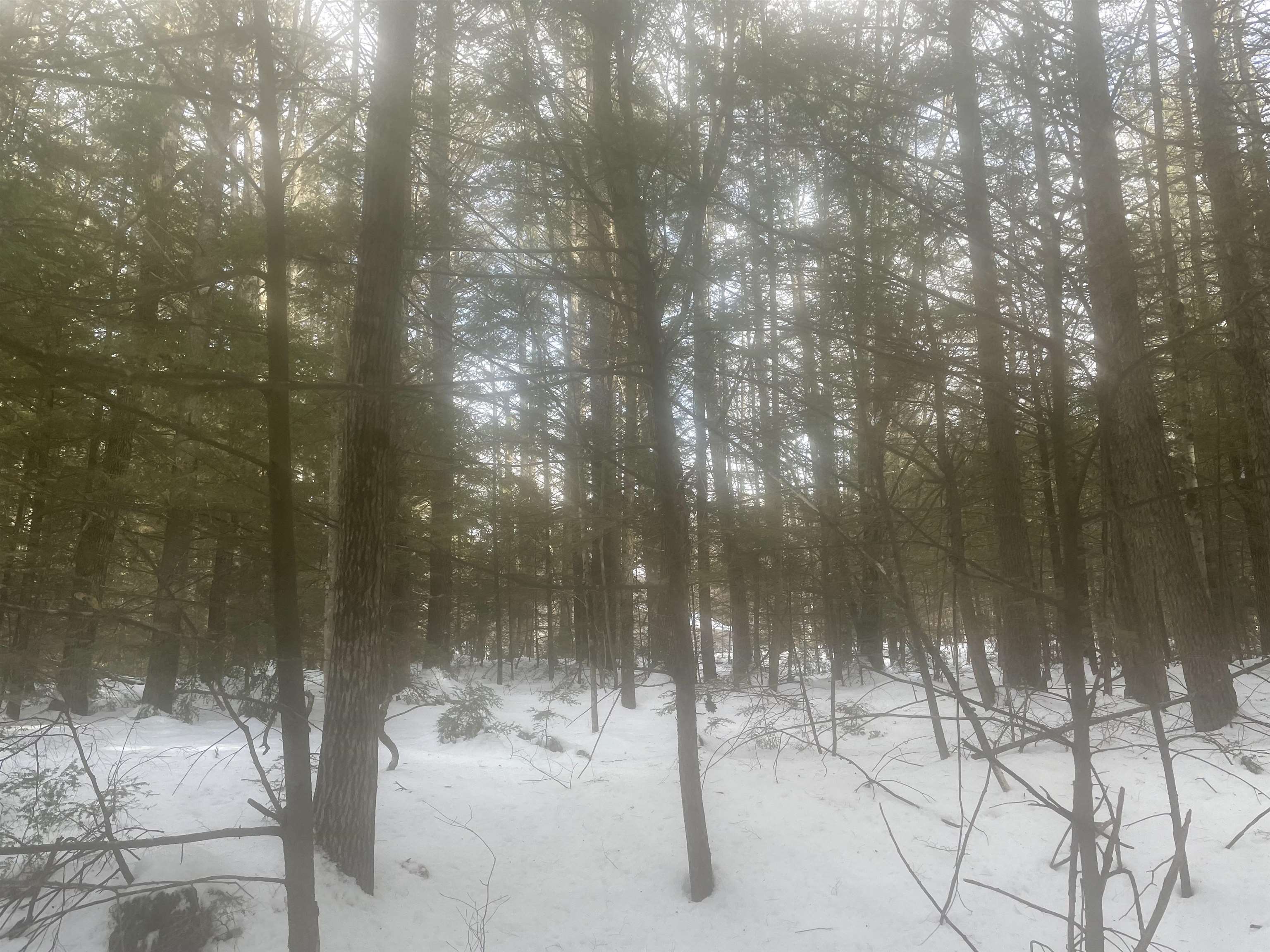 property viewer photo 52