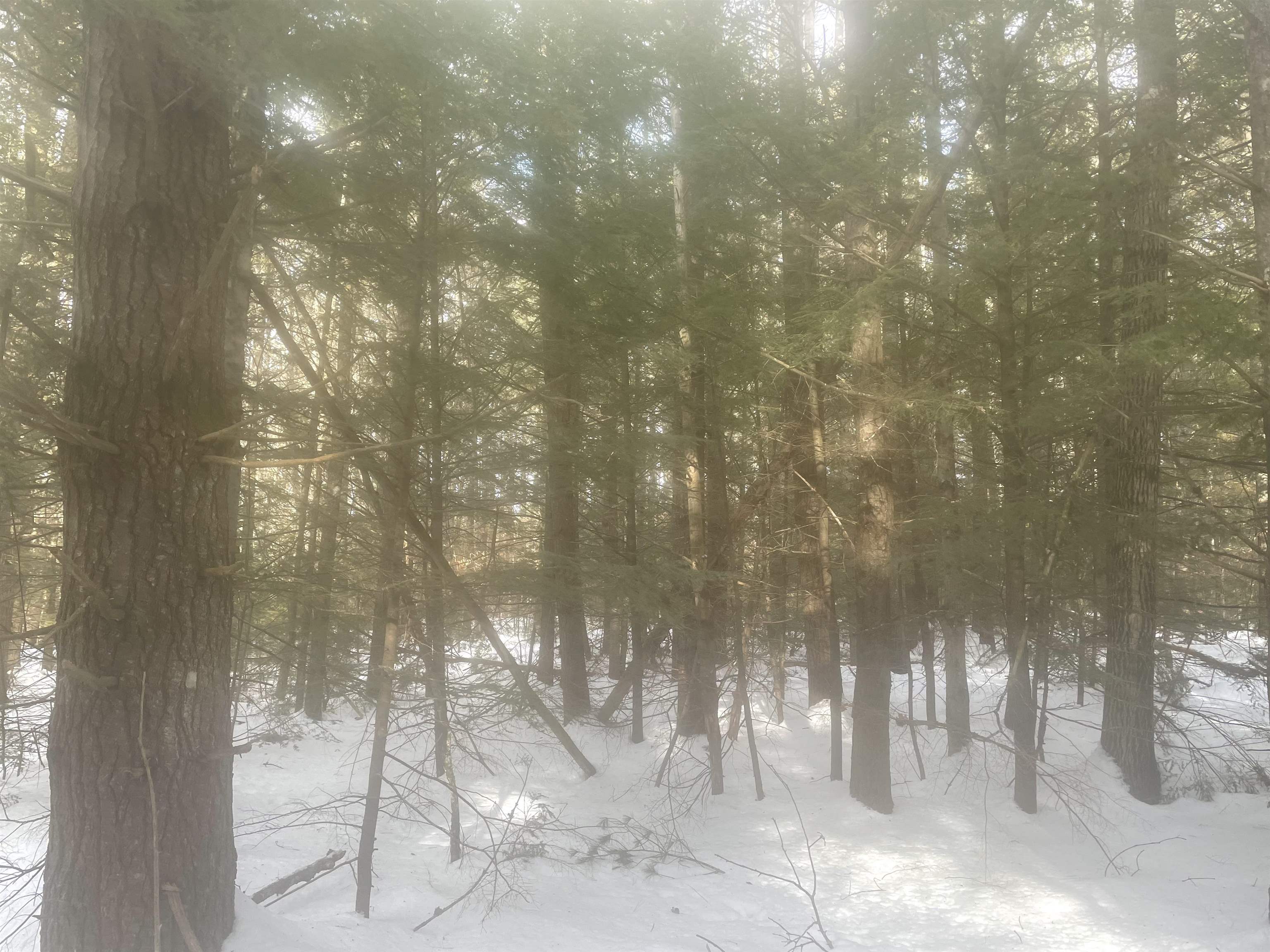 property viewer photo 53