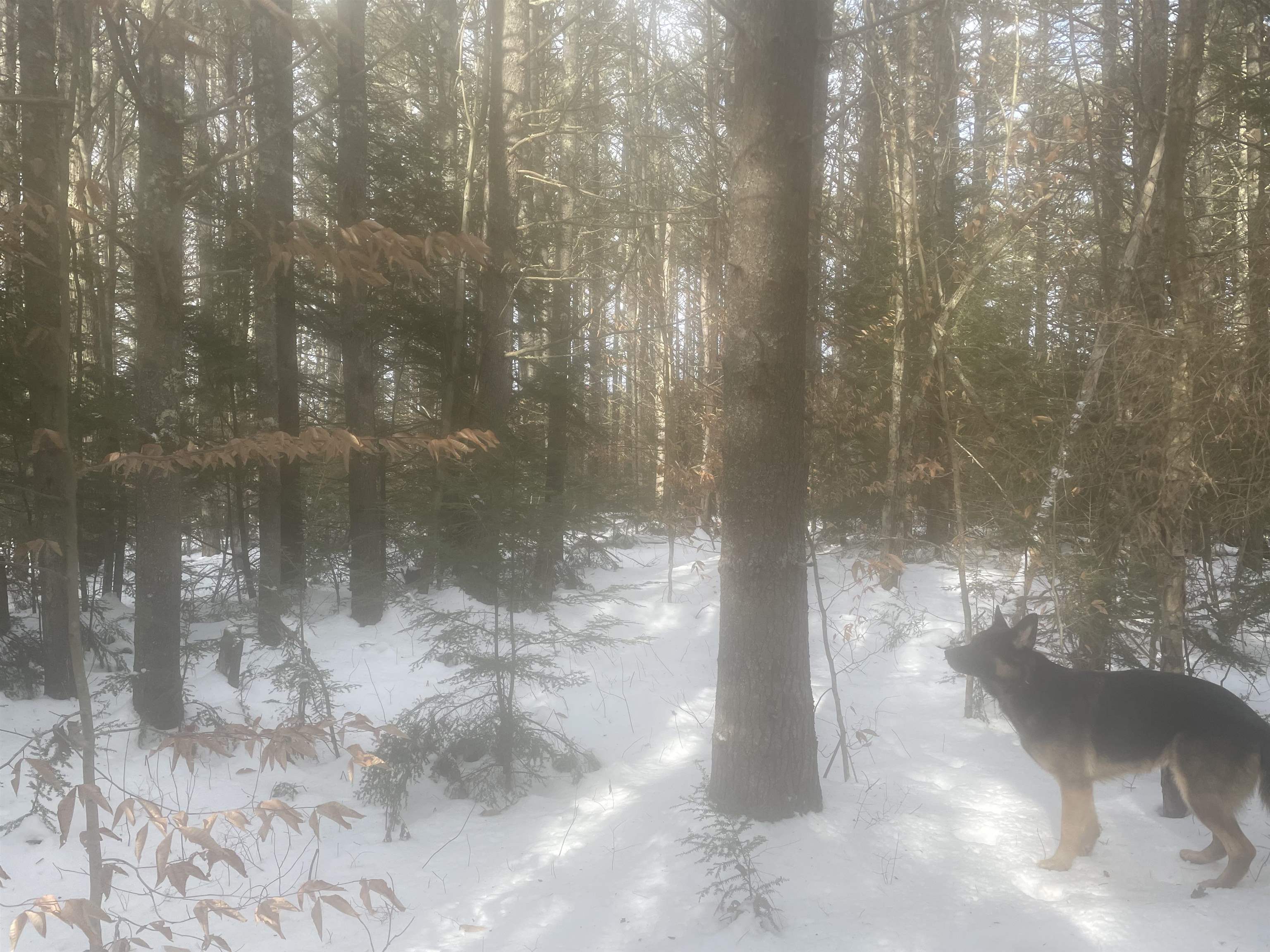 property viewer photo 54