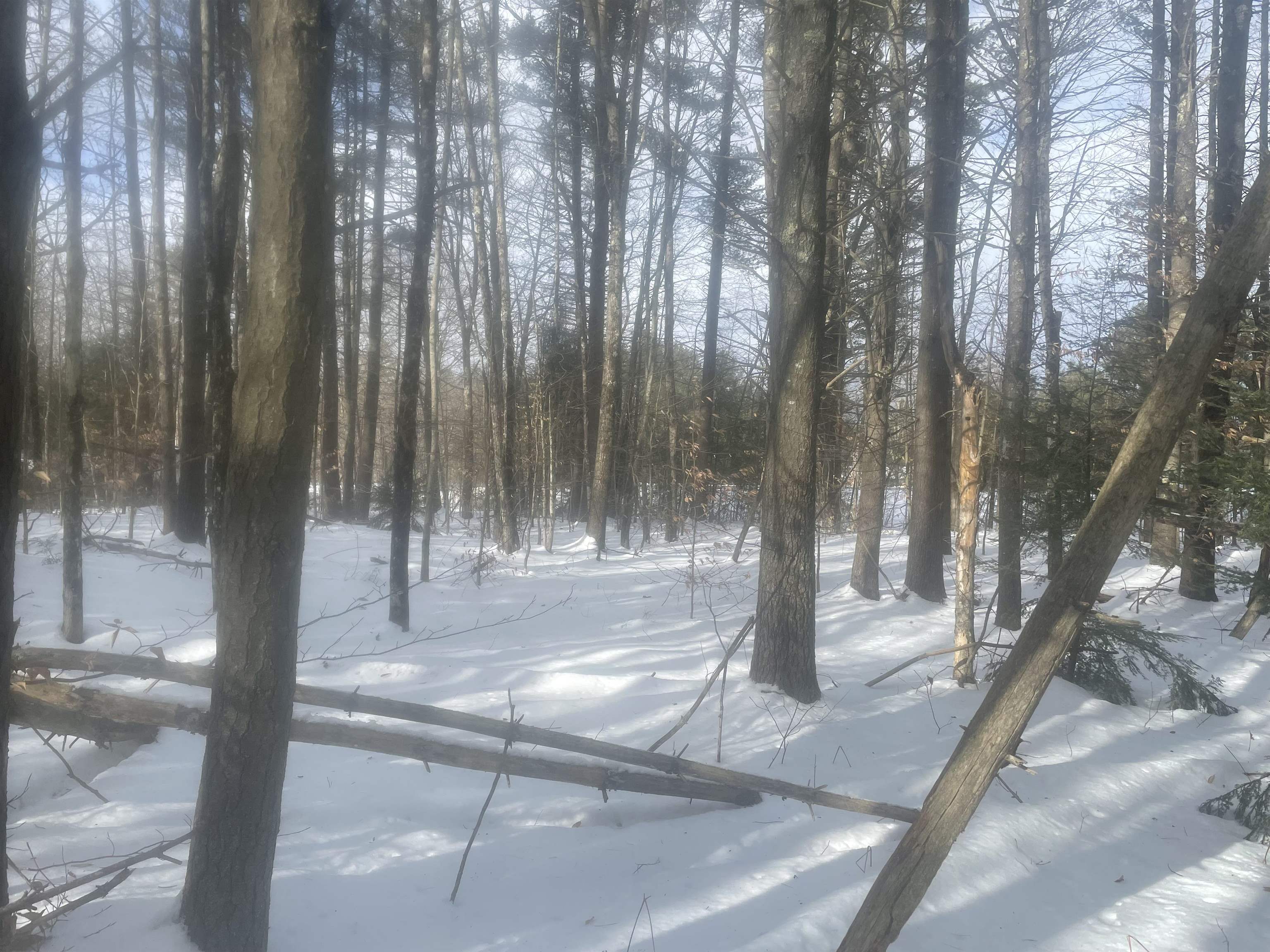property viewer photo 55