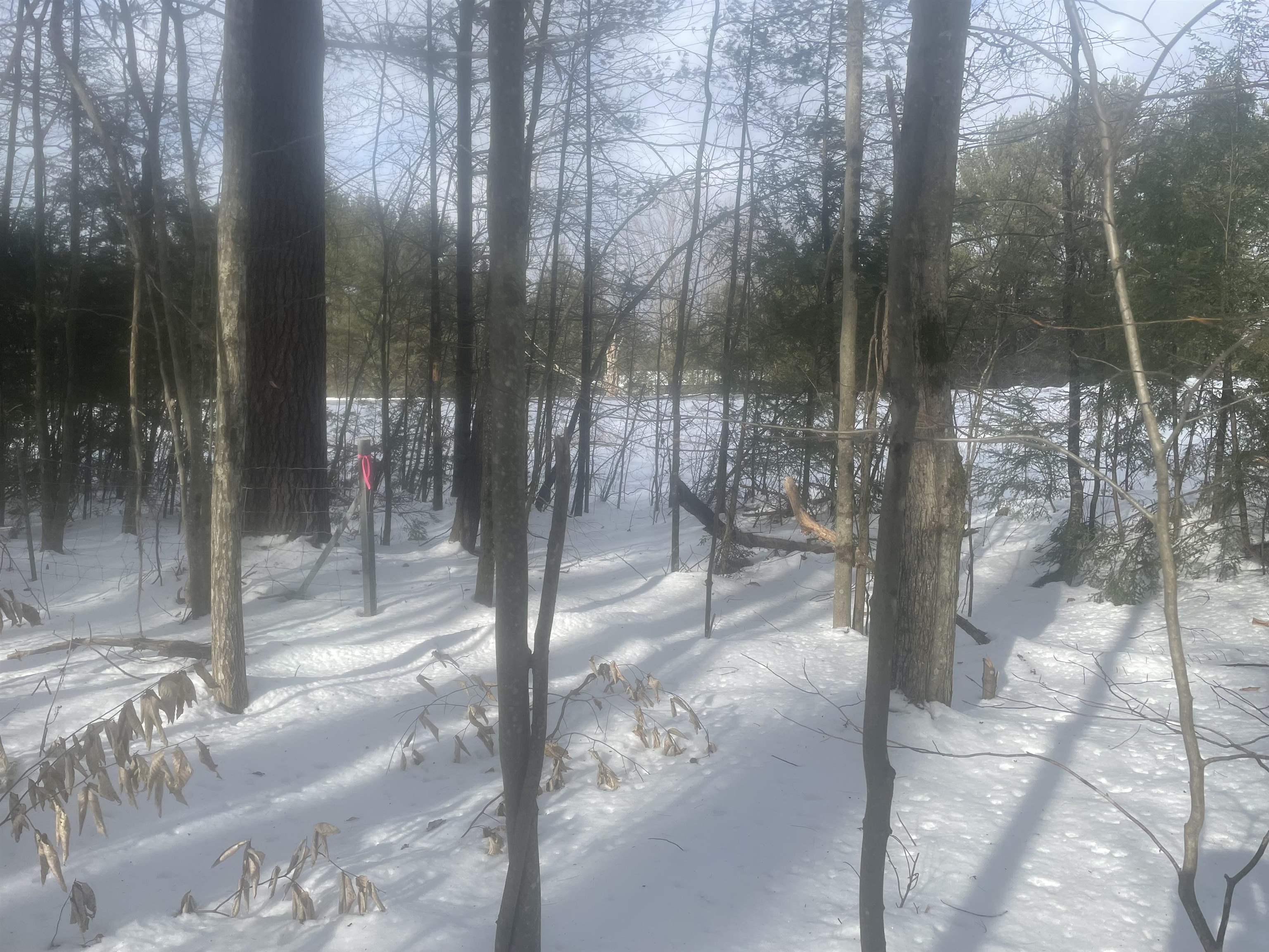property viewer photo 56