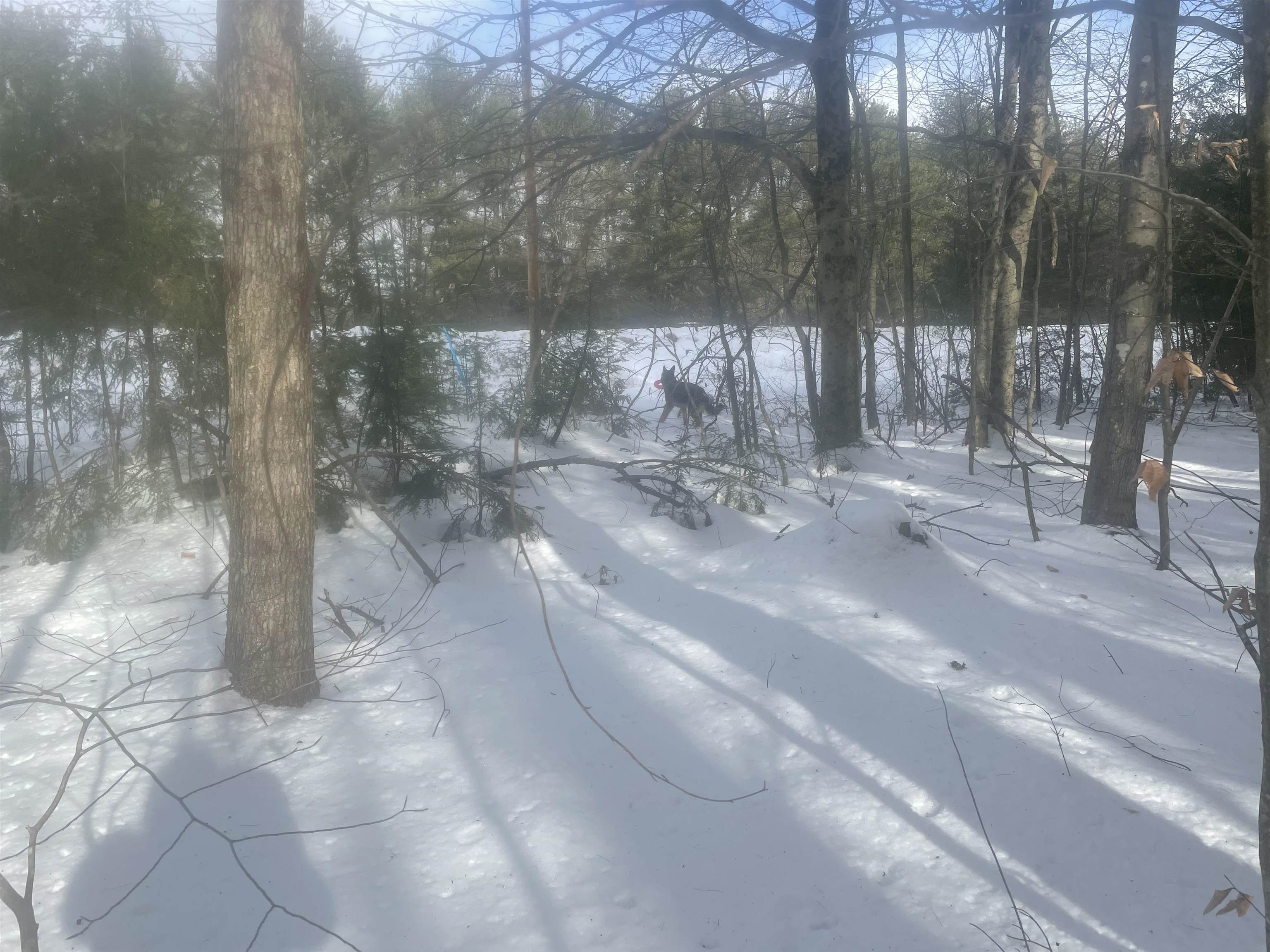 property viewer photo 57