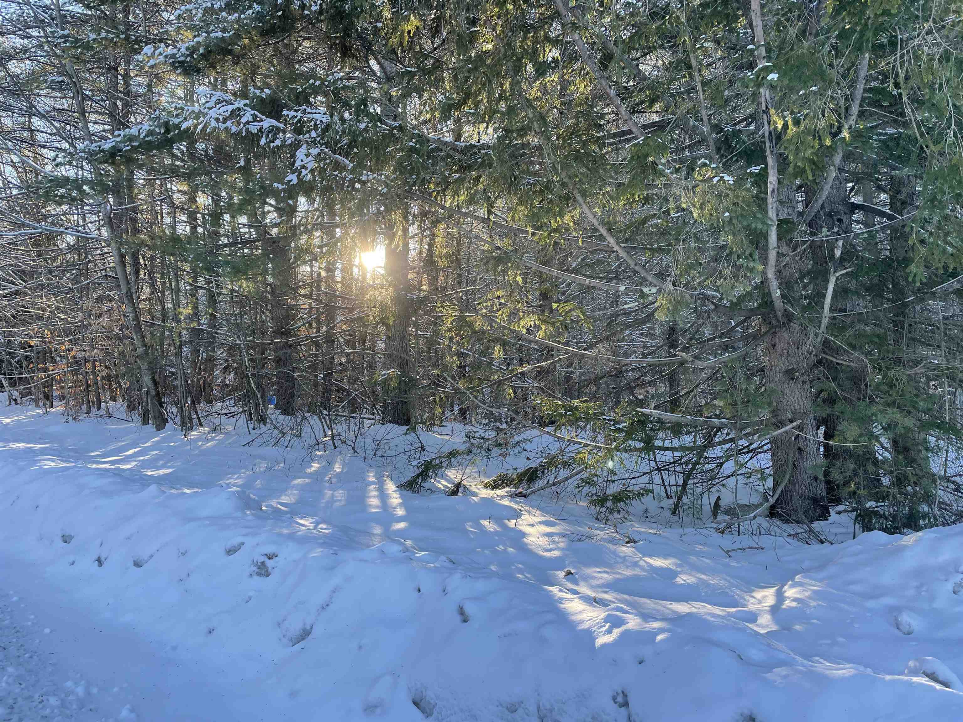 property viewer photo 7