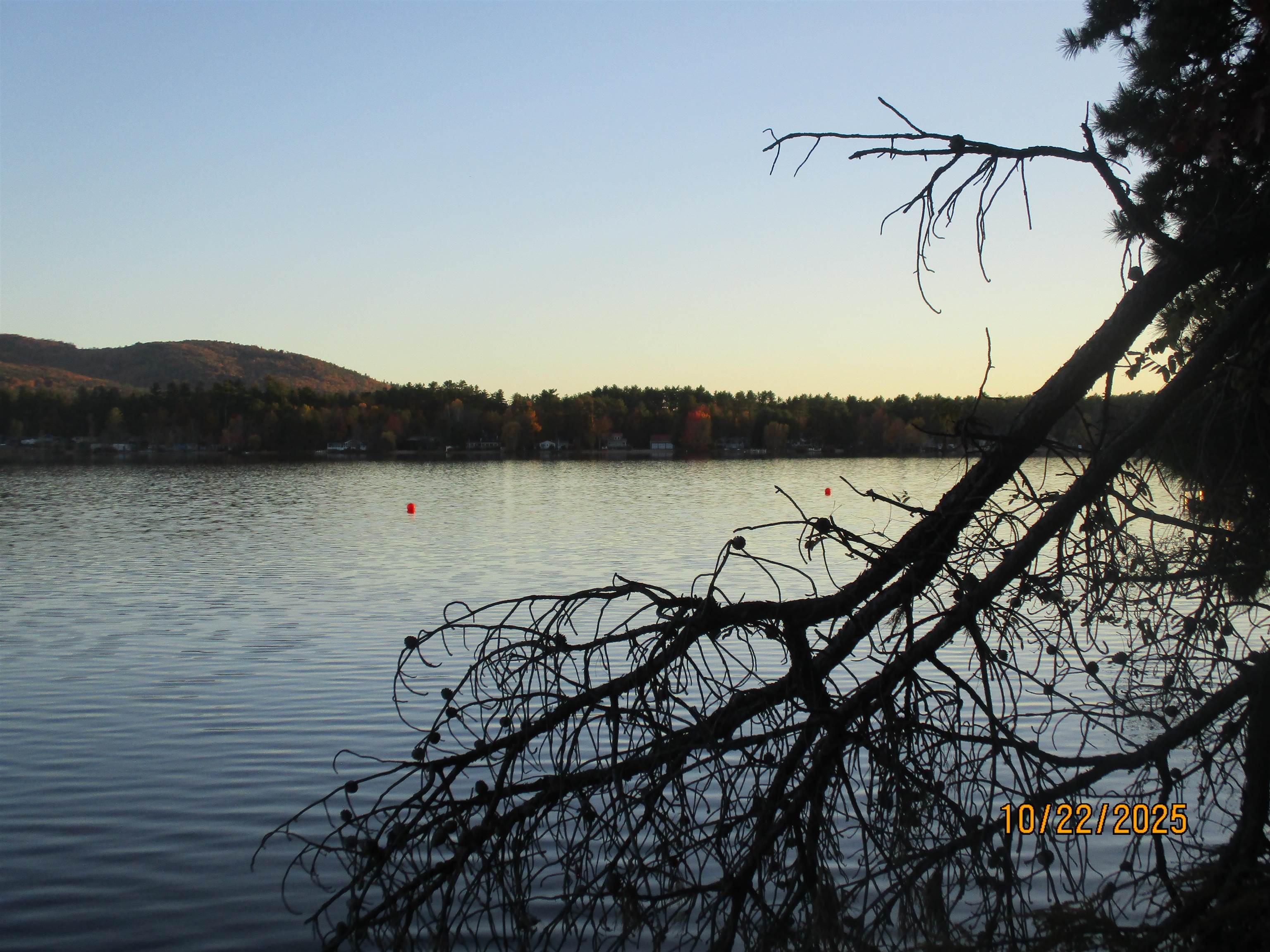 main property photo 8