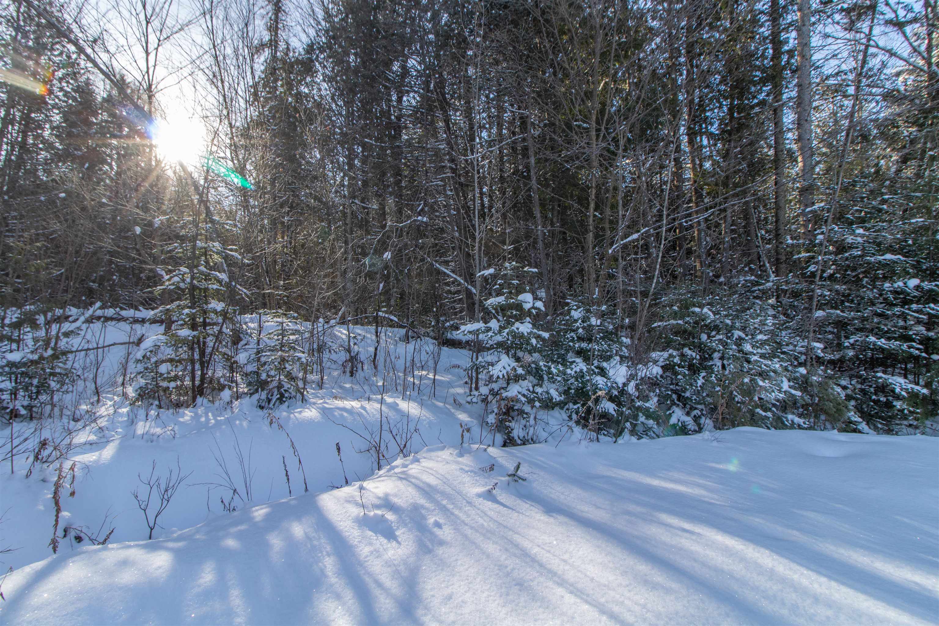 property viewer photo 25