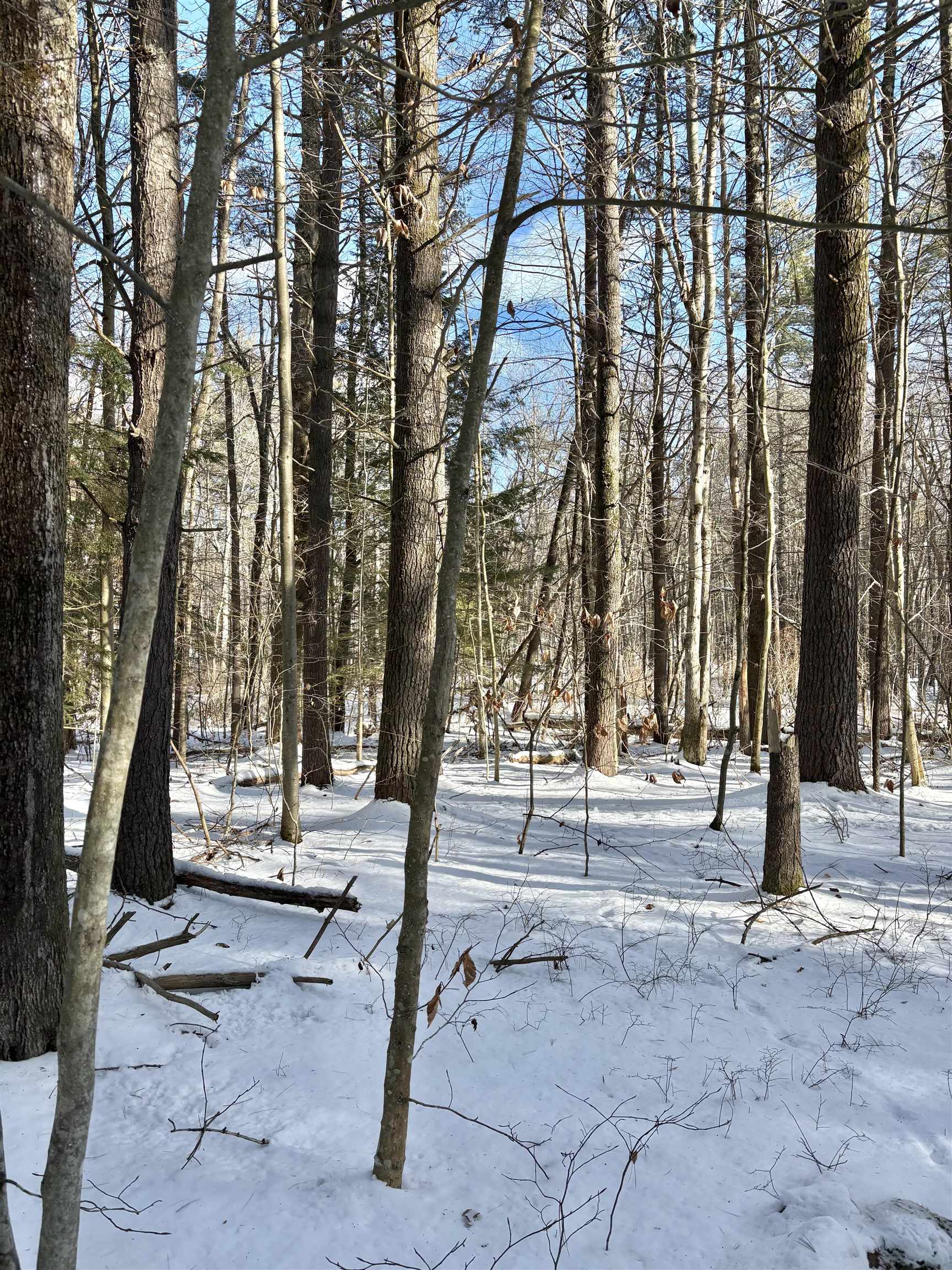 property viewer photo 1