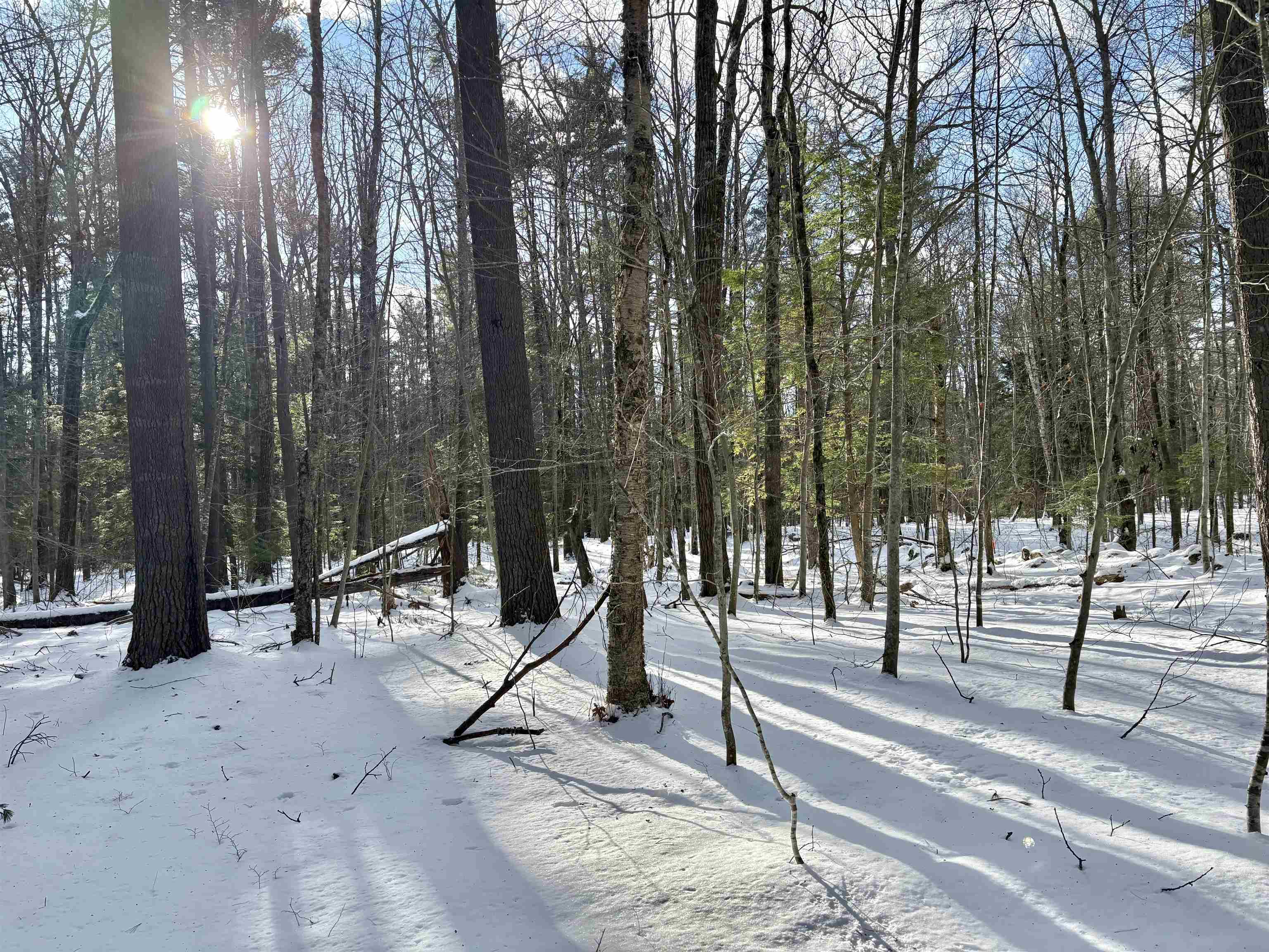property viewer photo 10