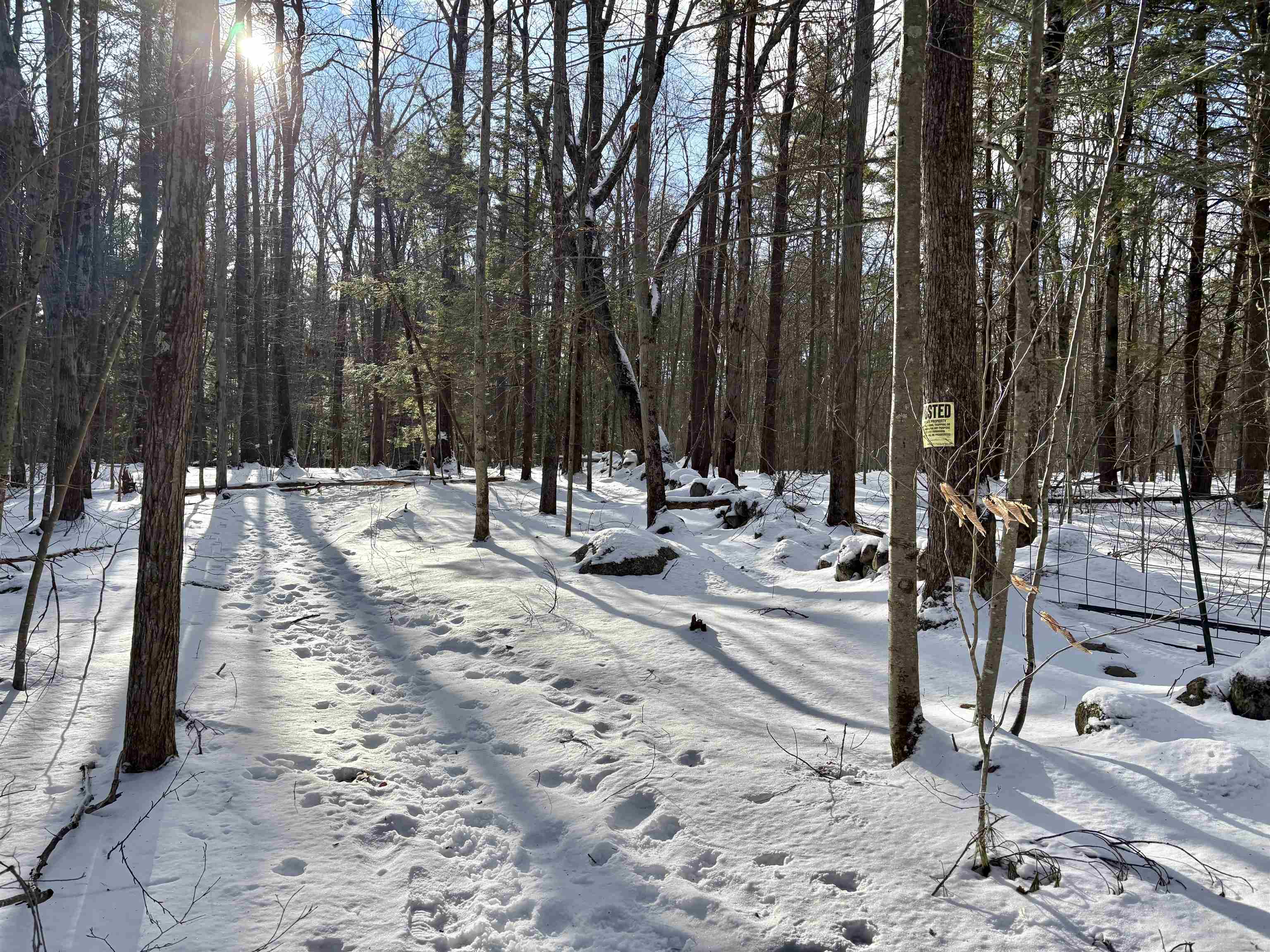 property viewer photo 15