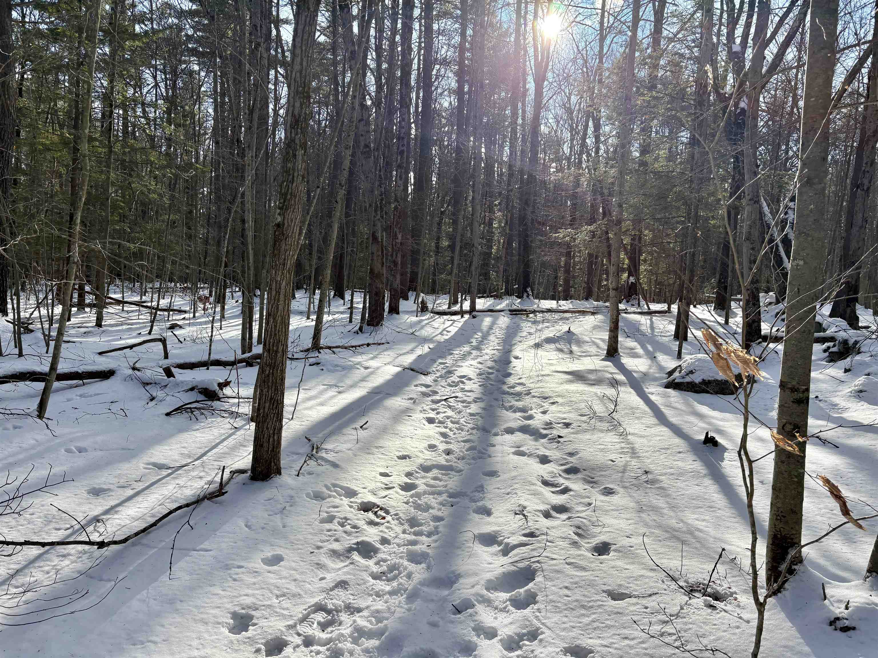 property viewer photo 17