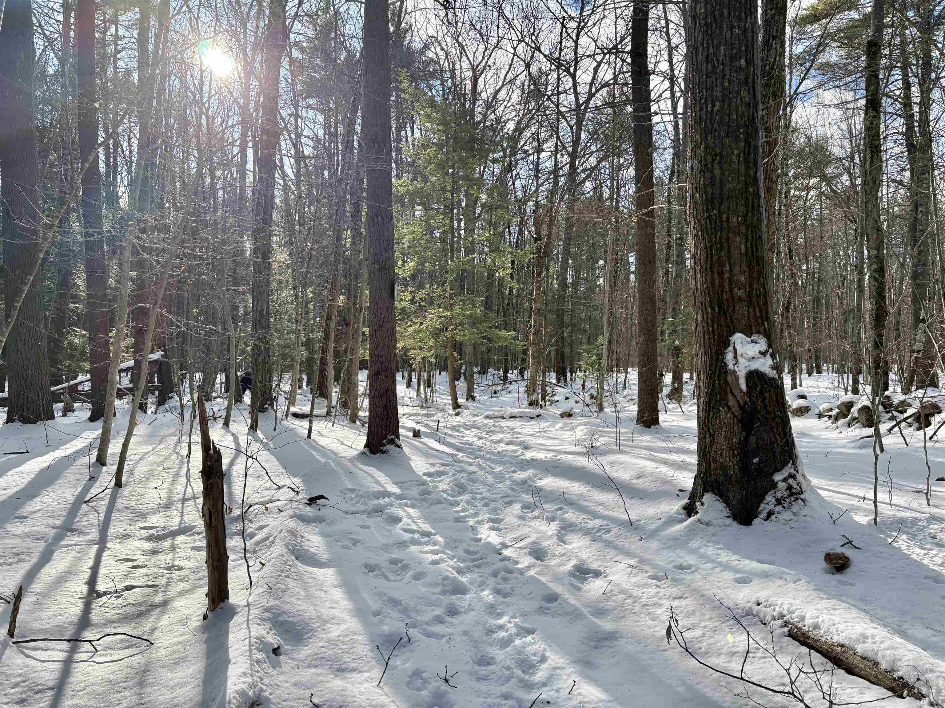 property viewer photo 18