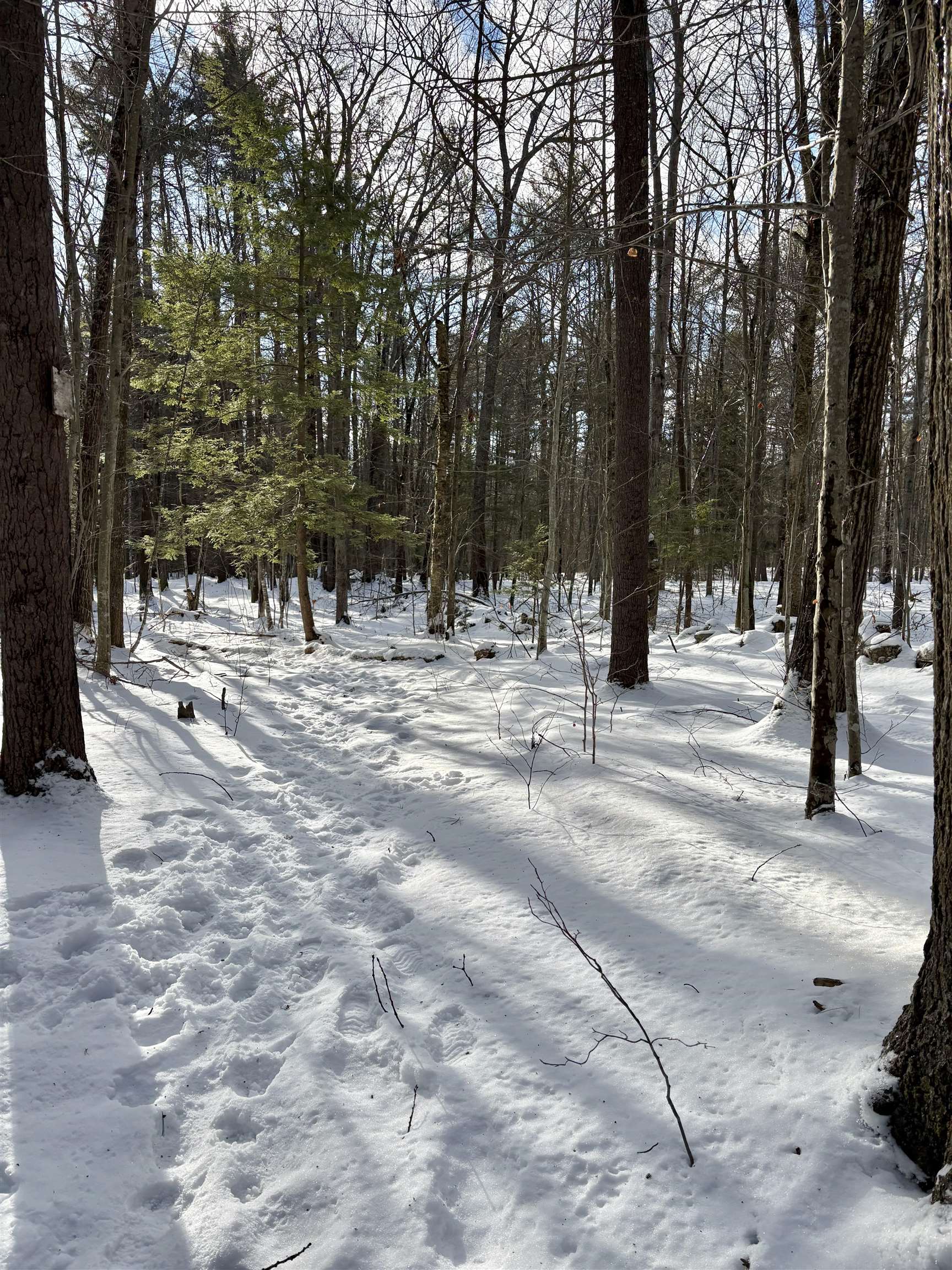 property viewer photo 19