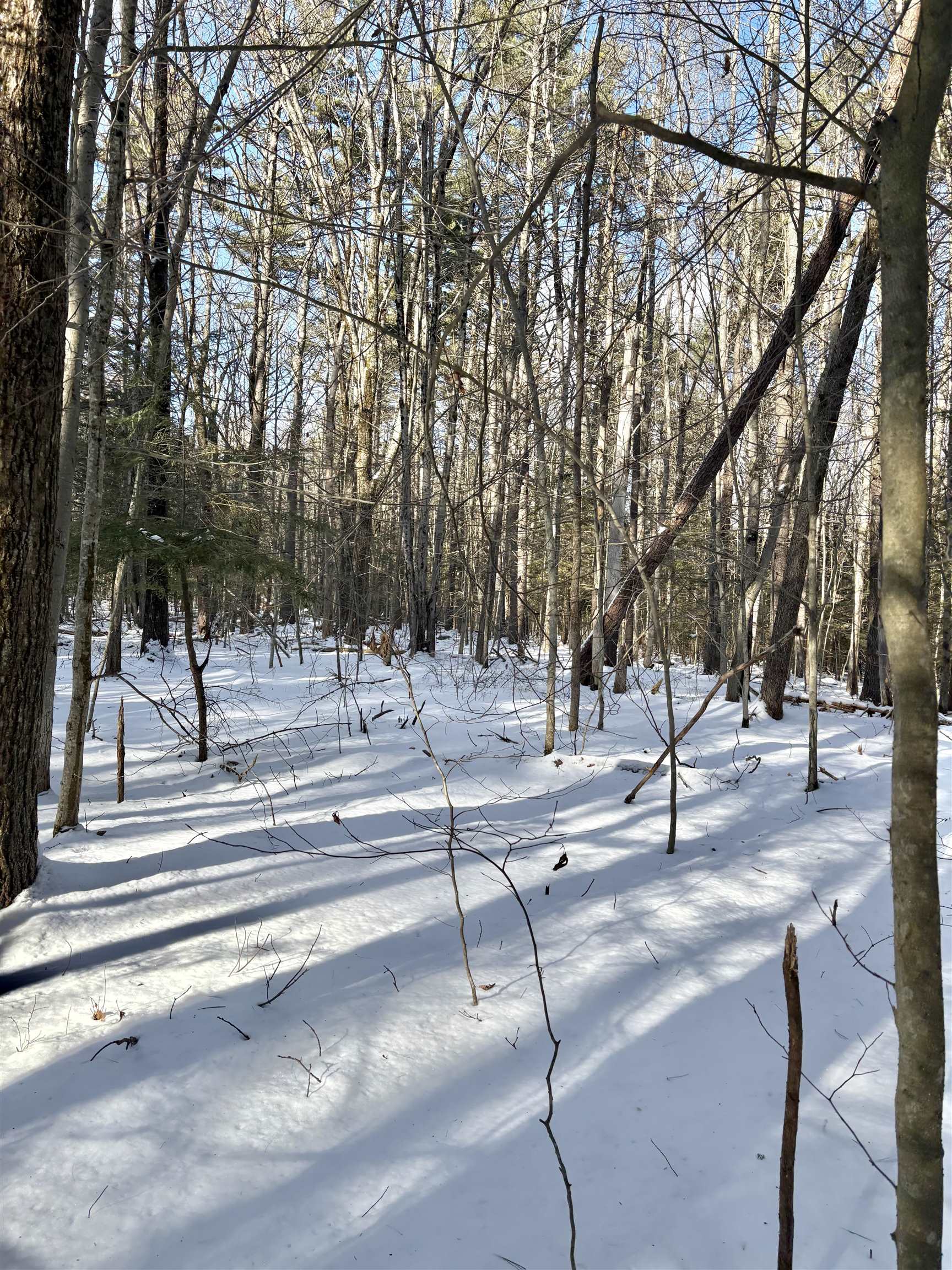 property viewer photo 2