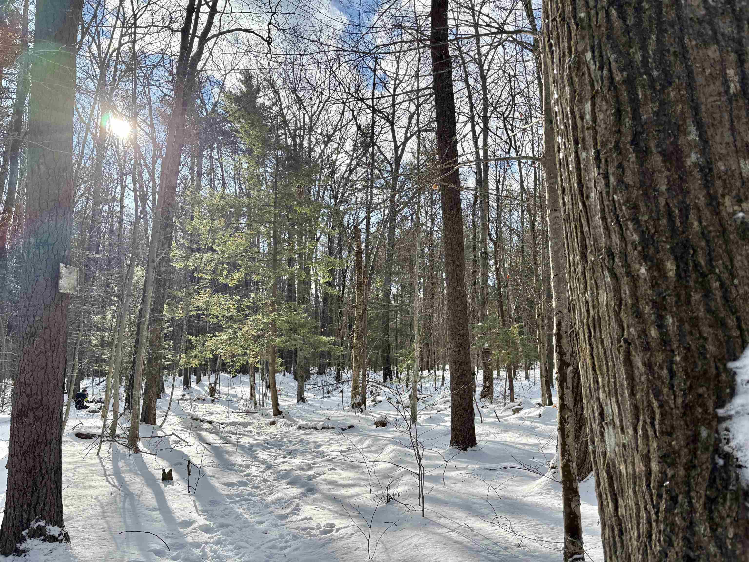 property viewer photo 20