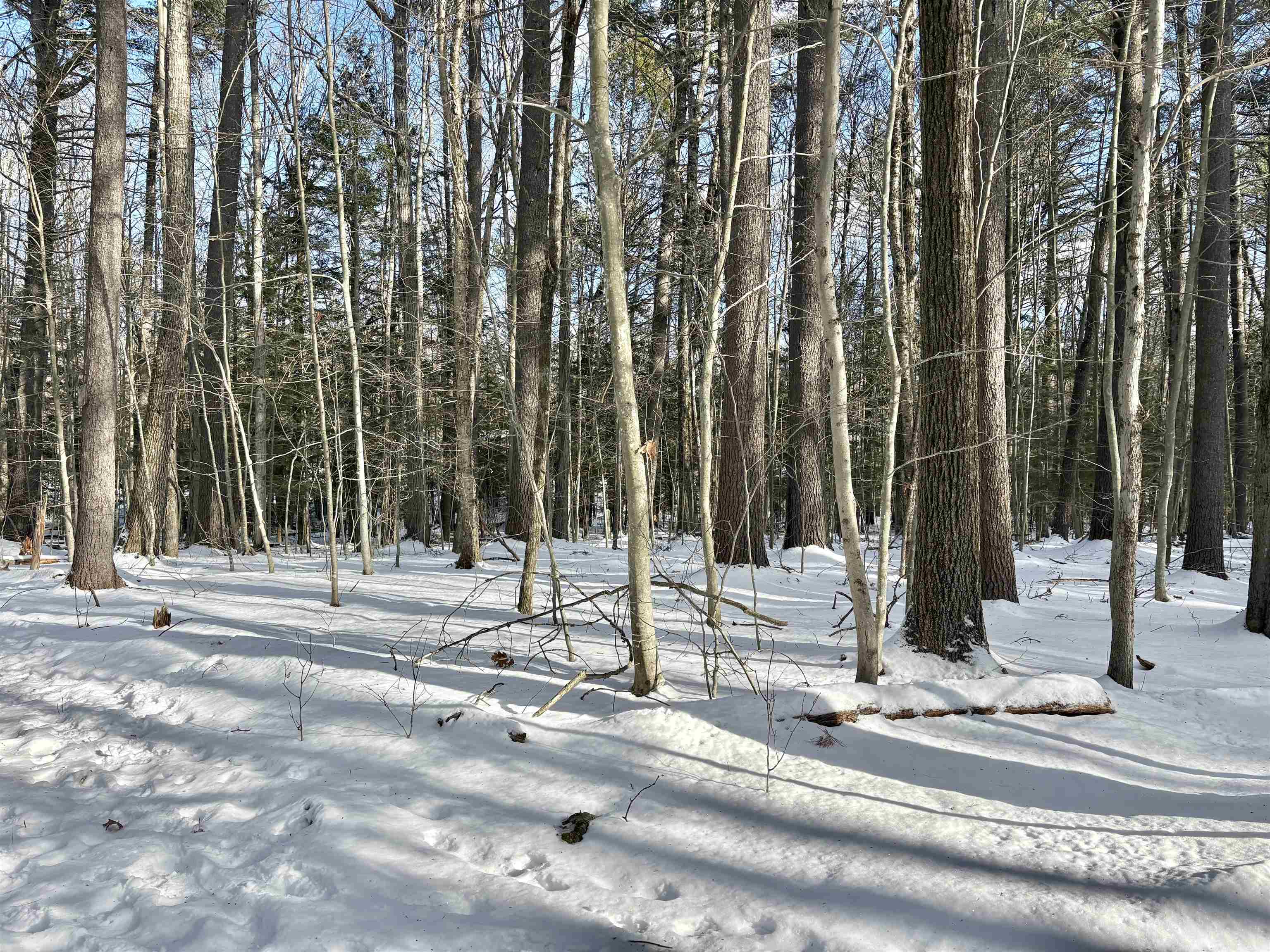property viewer photo 21